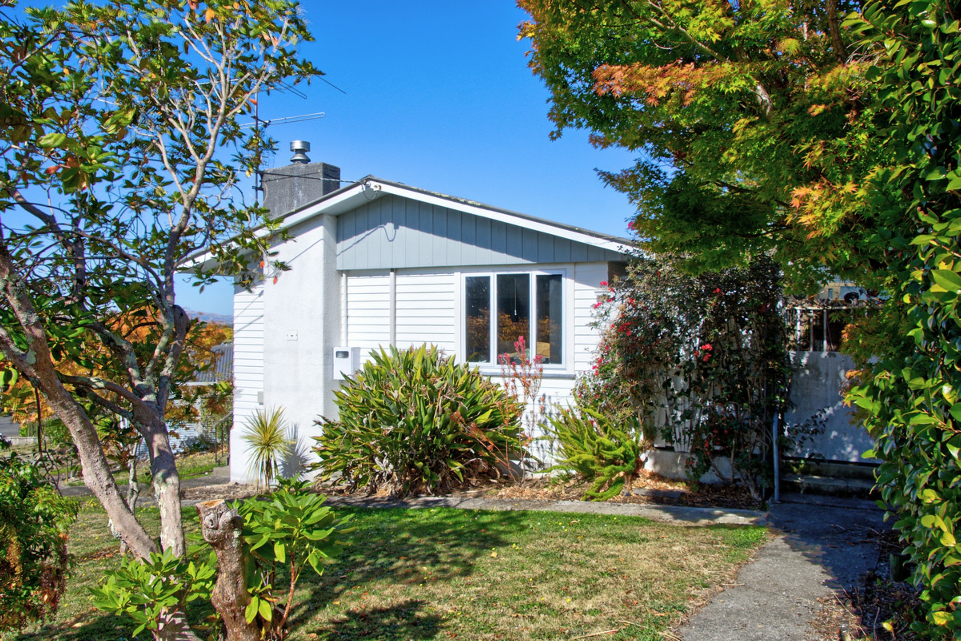 11 Puriri Crescent, MASTERTON