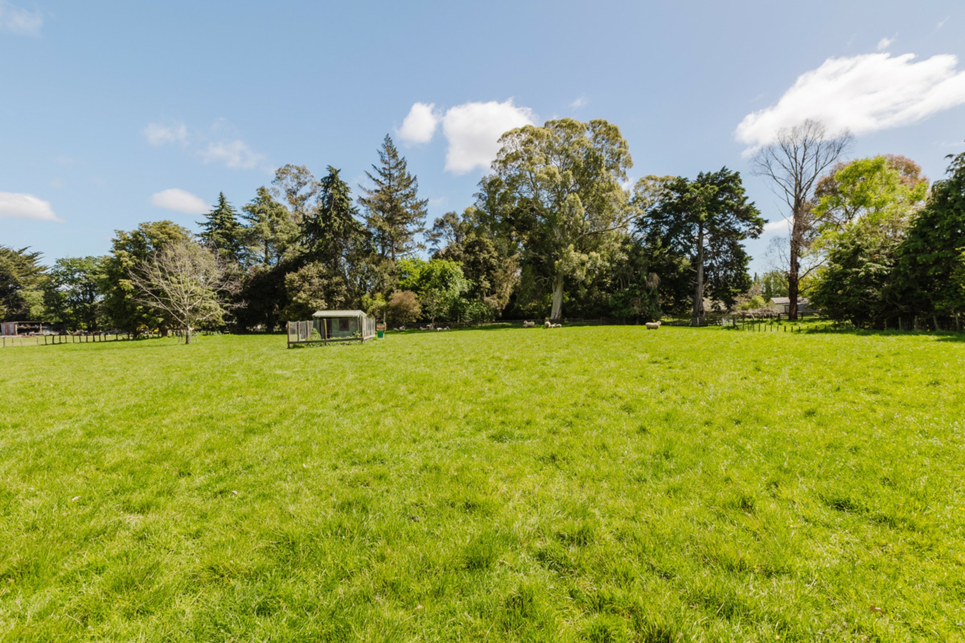24 Homebush Road, MASTERTON