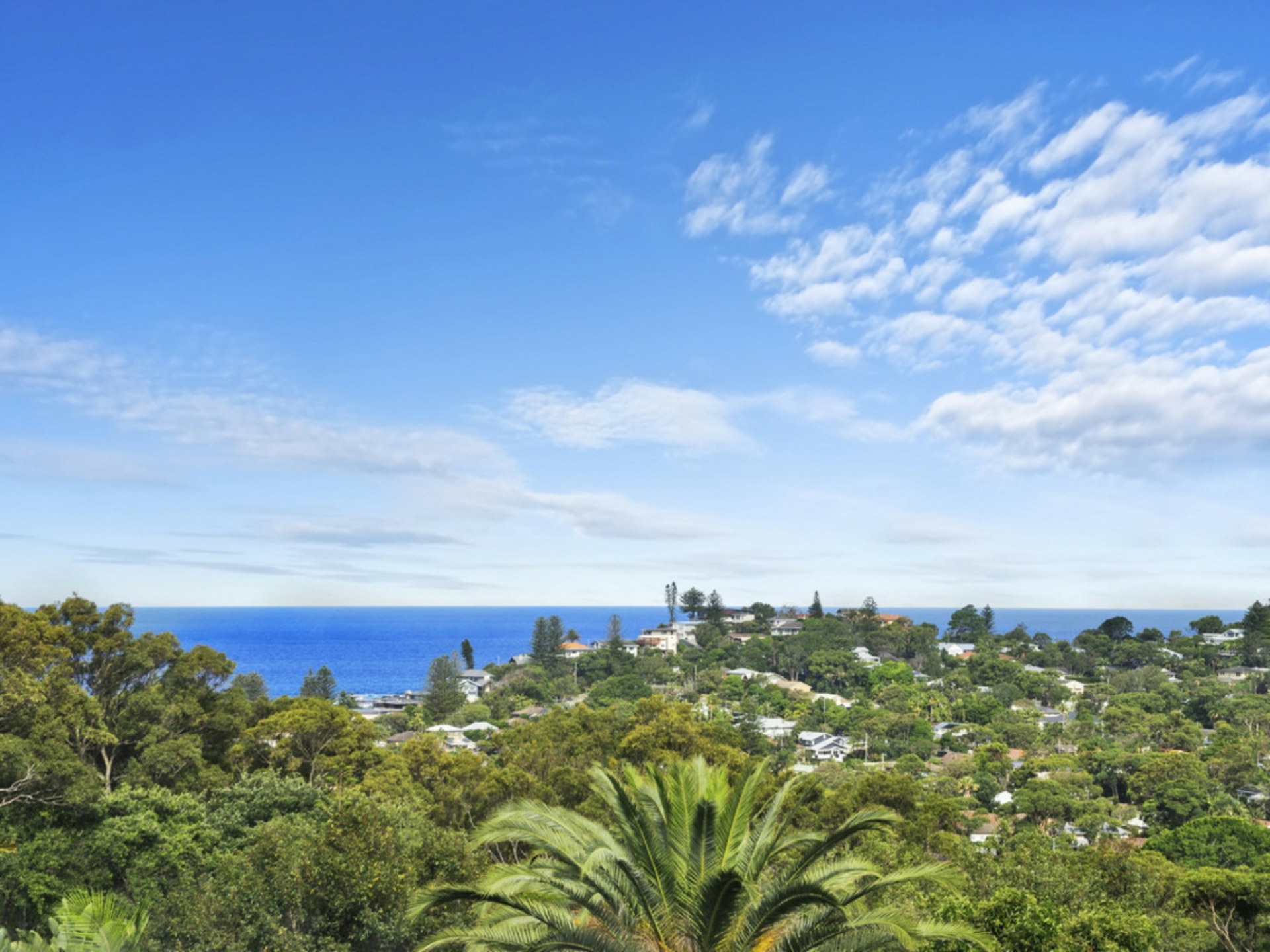 37 Wallumatta Road, NEWPORT