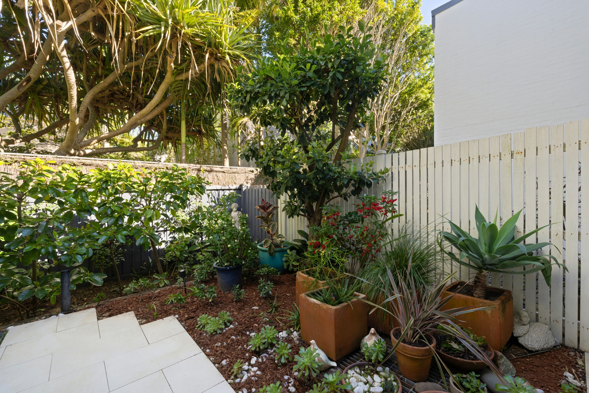 3/34-38 Foamcrest Avenue — photo 16 of 18