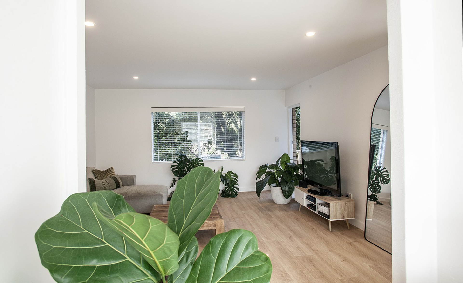 2/3 Bassett Street — photo 6 of 19