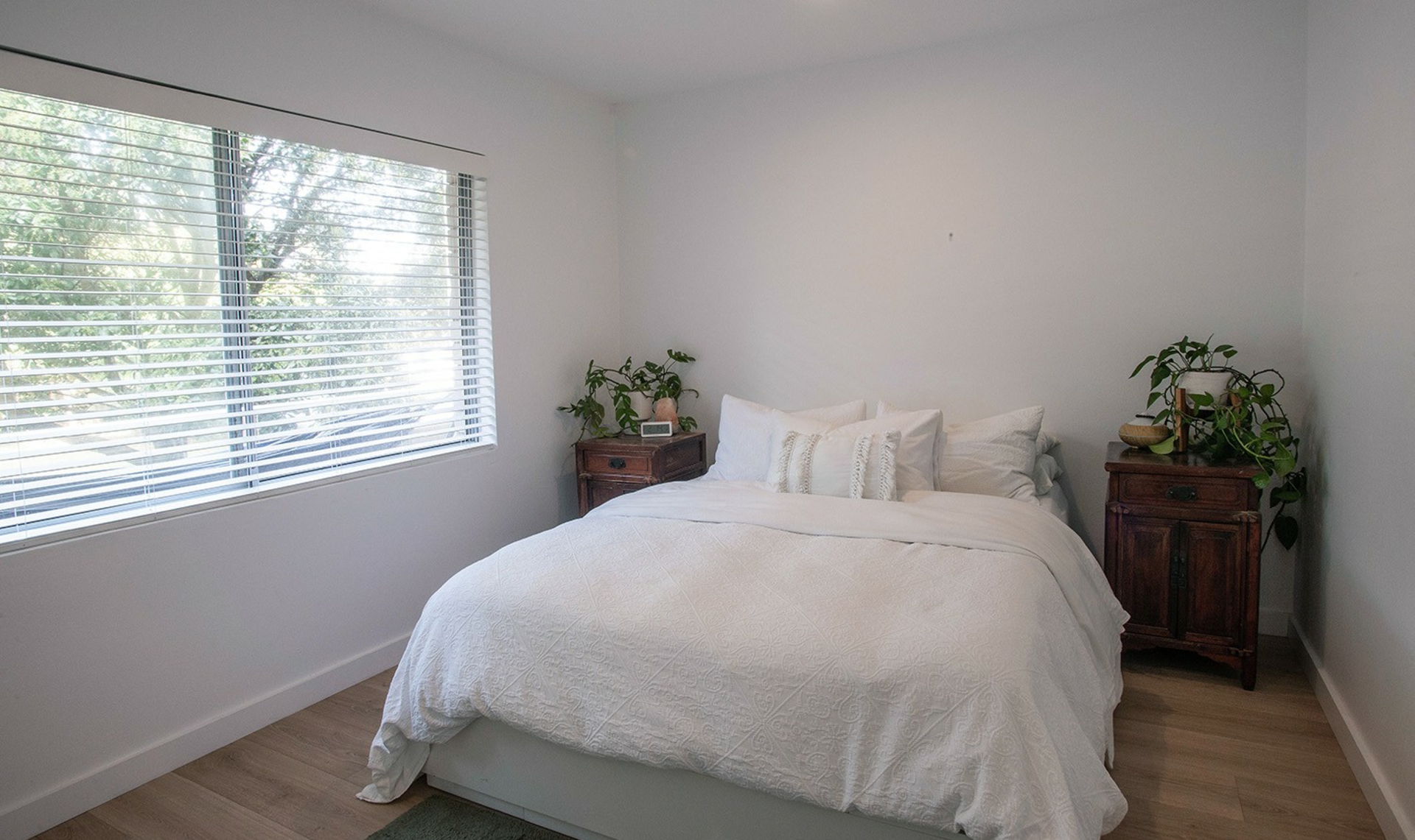 2/3 Bassett Street — photo 8 of 19