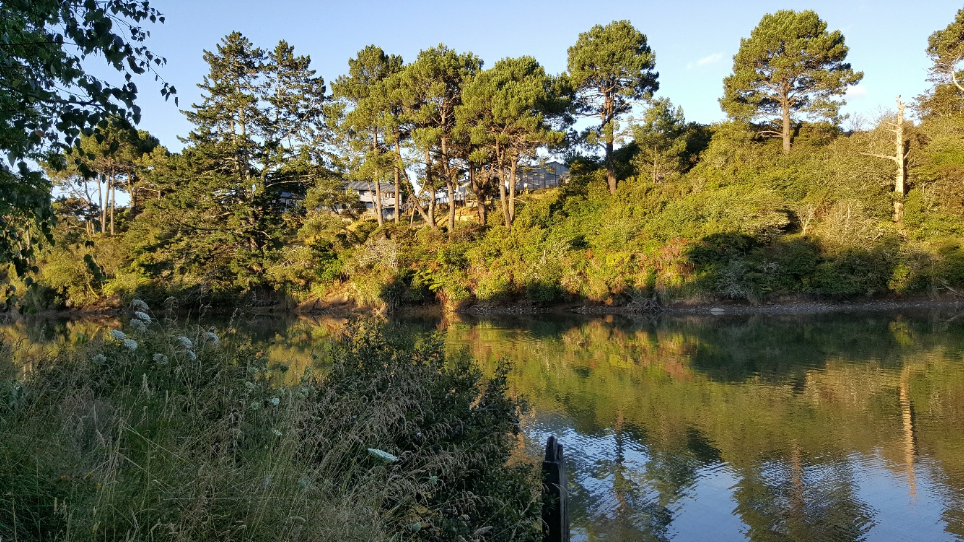 23 Elliot Street Riverhead Property Details LJ Hooker