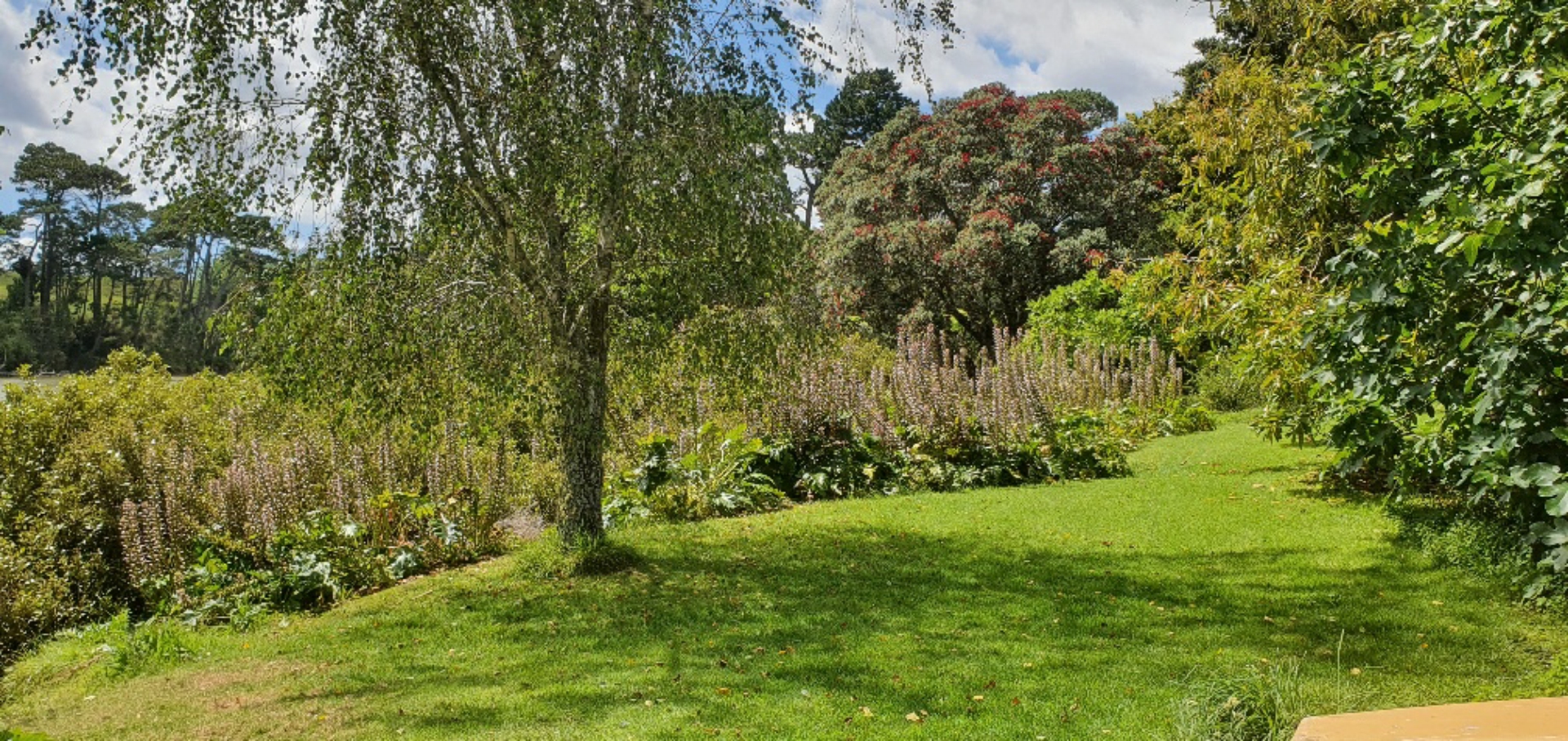 23 Elliot Street Riverhead Property Details LJ Hooker