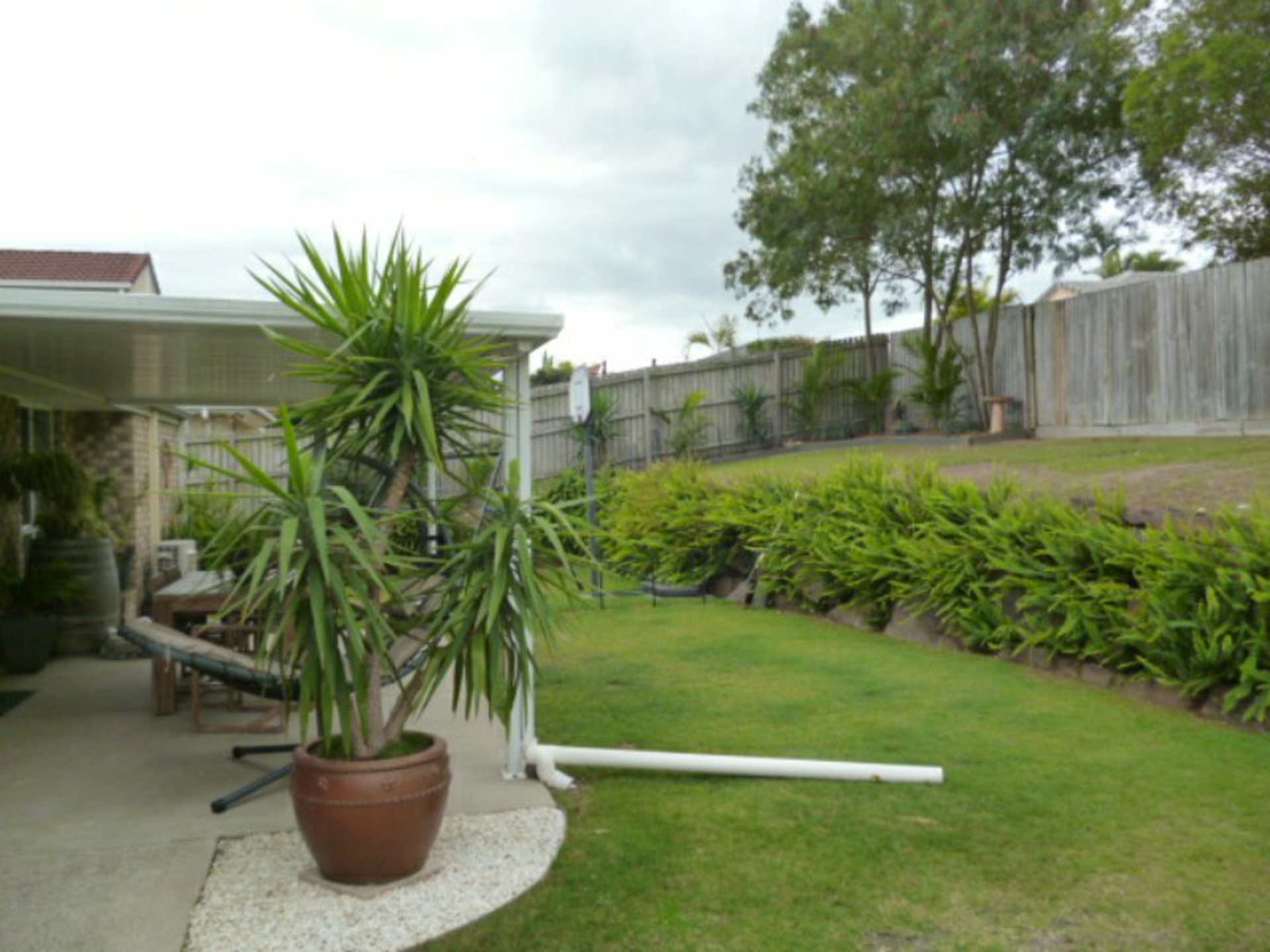 5 Cockatoo Place, SPRINGFIELD