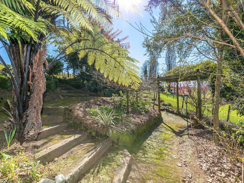 53 Matai Road Matamata Property Details LJ Hooker