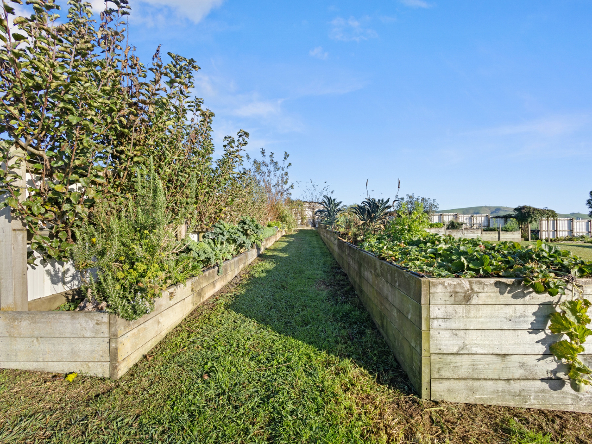 334 Scott Road, MORRINSVILLE