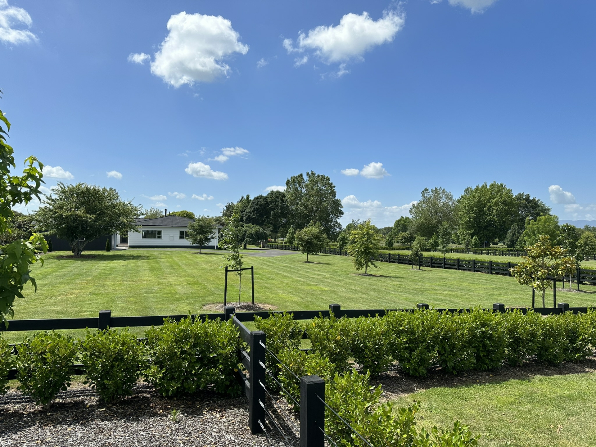 Station Rd Matamata Lifestyle for Sale LJ Hooker