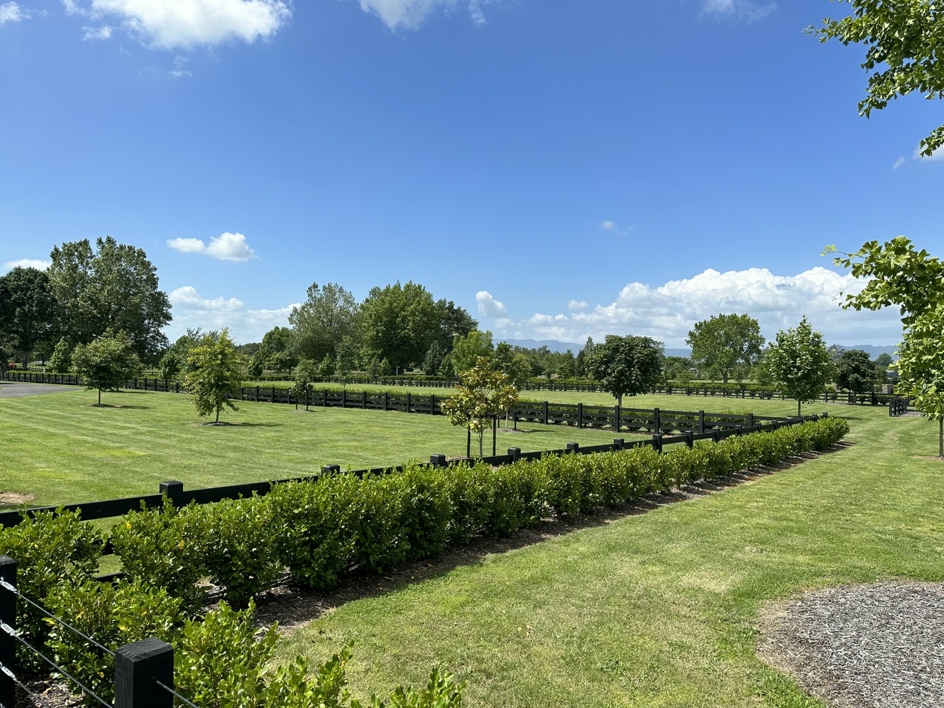 Station Rd Matamata Lifestyle for Sale LJ Hooker