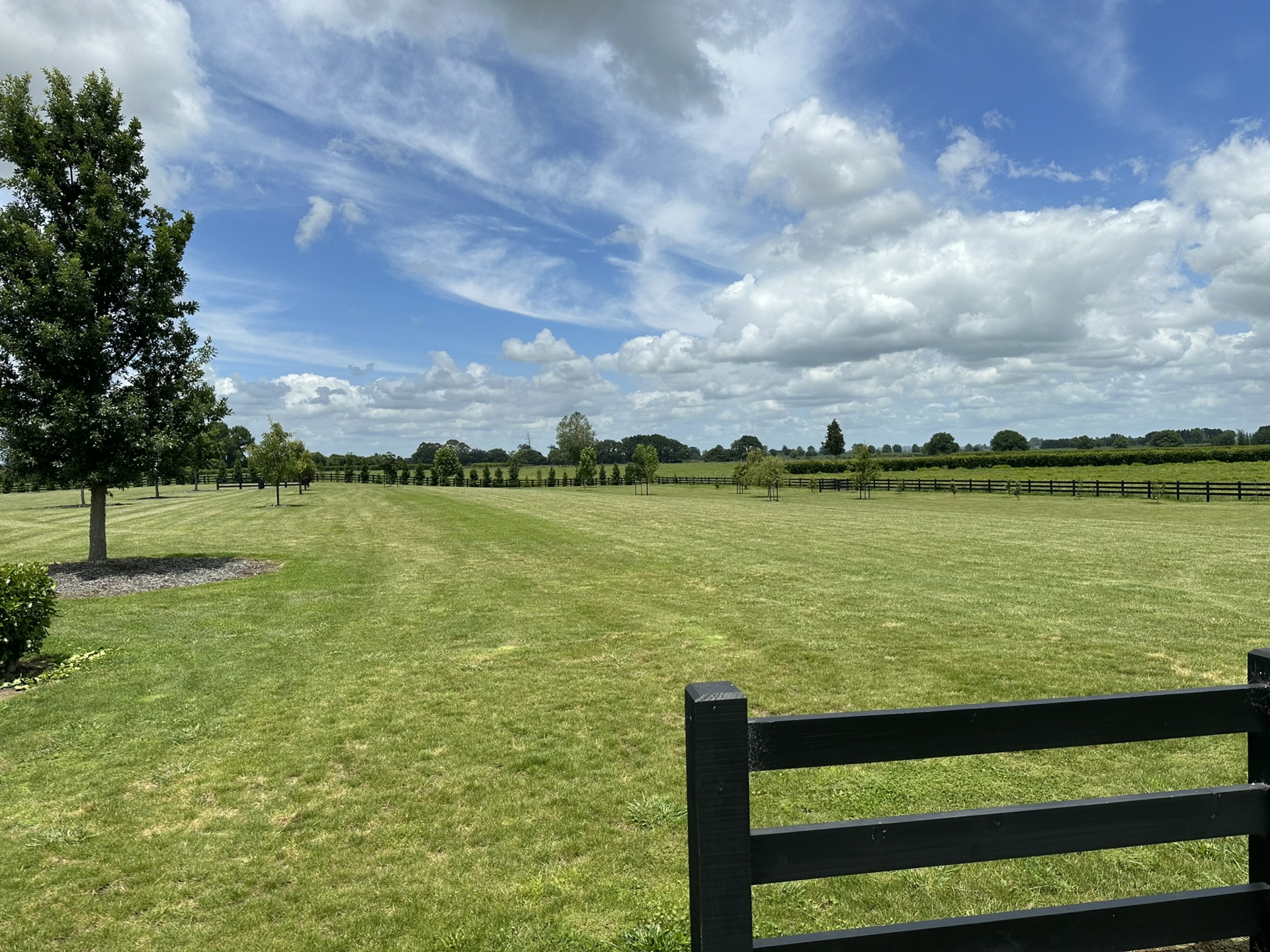 Station Rd Matamata Lifestyle for Sale LJ Hooker