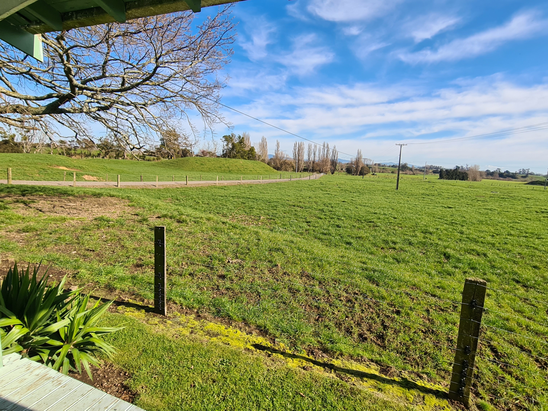 1843 Te Aroha Gordon Road, WARDVILLE
