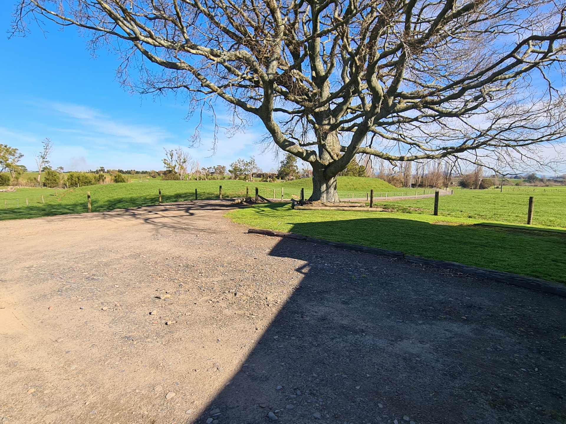 1843 Te Aroha Gordon Road, WARDVILLE