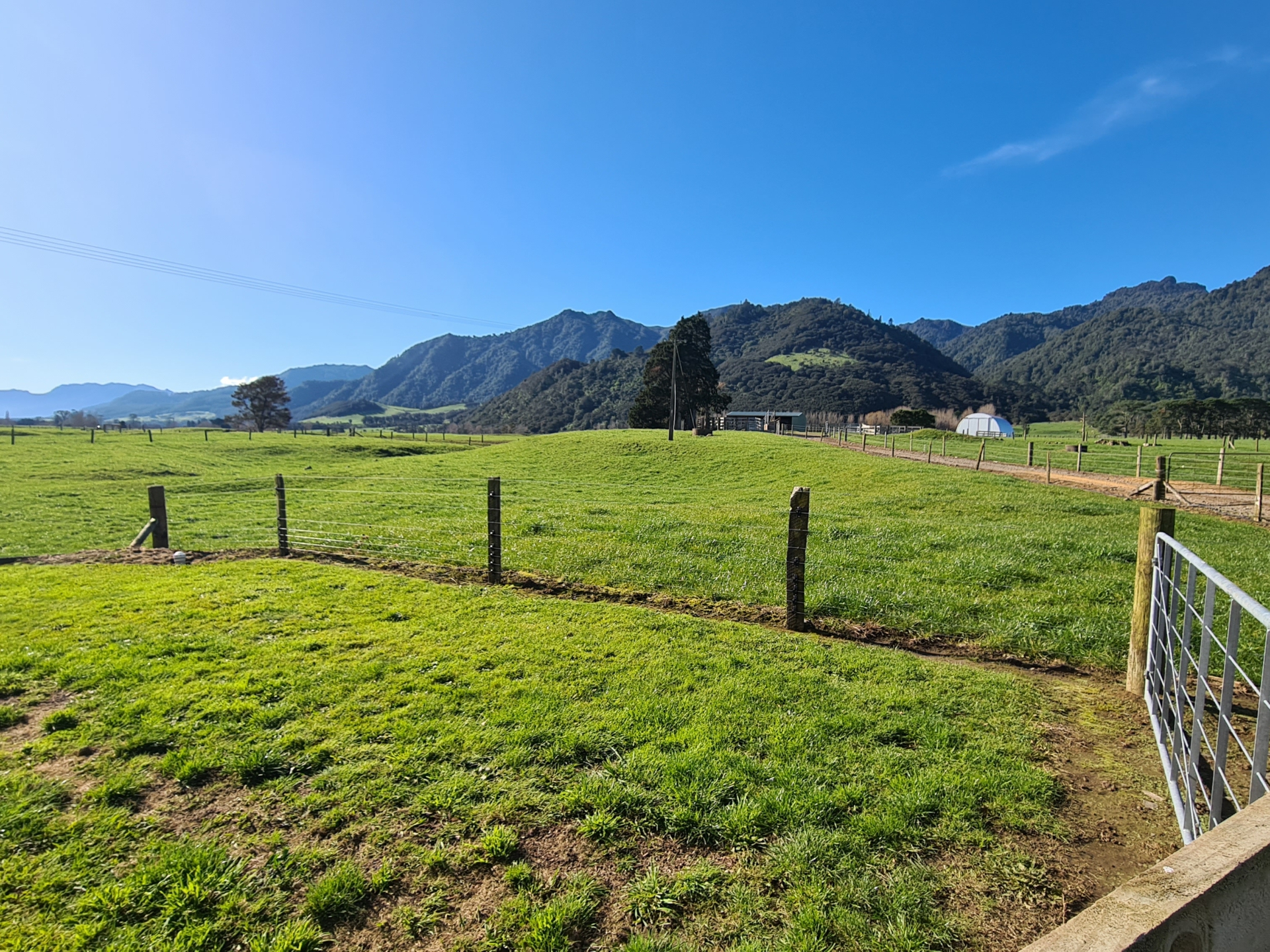1843 Te Aroha Gordon Road, WARDVILLE