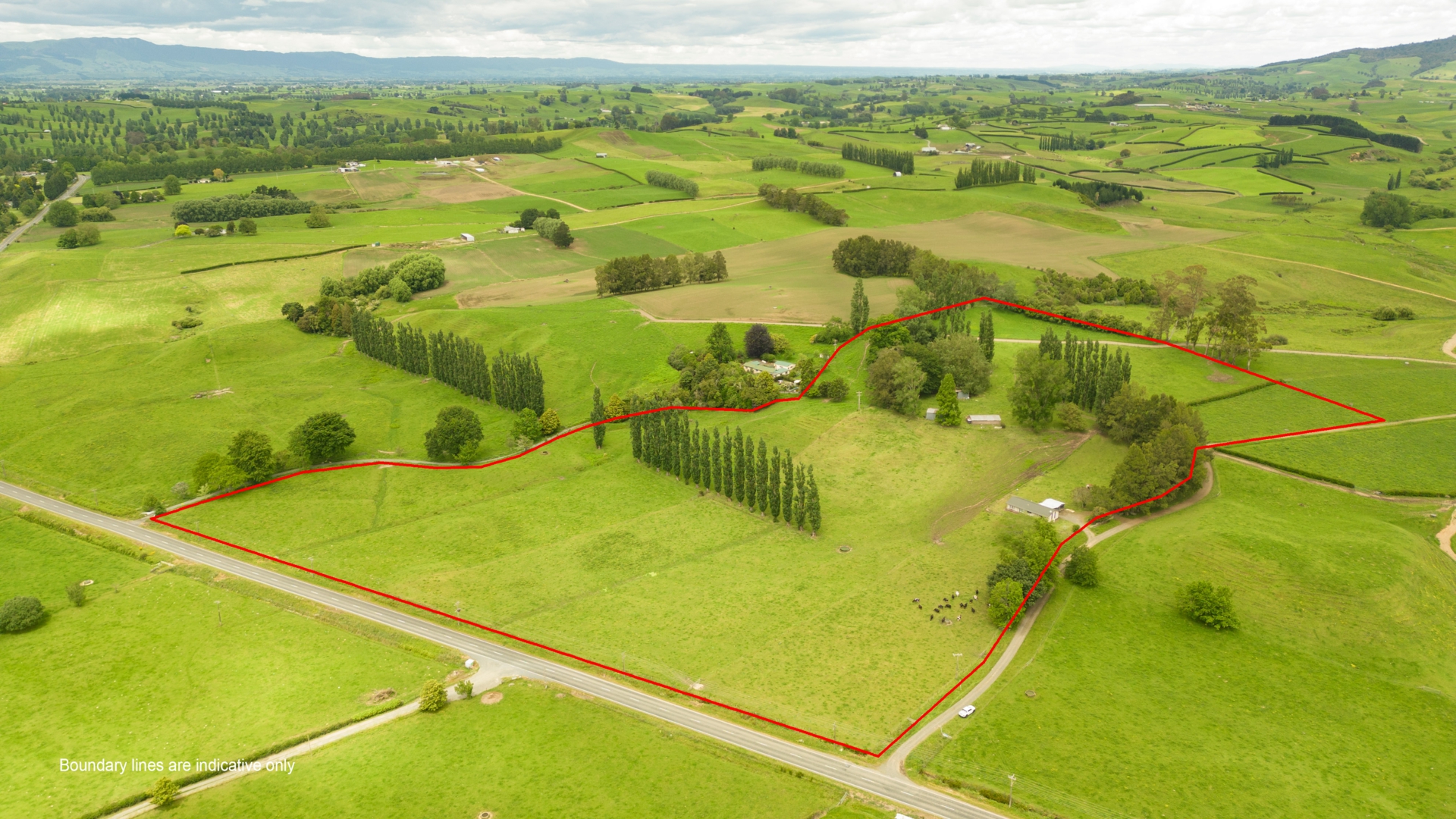 1768 Morrinsville Walton Road Matamata Lifestyle for Sale LJ Hooker