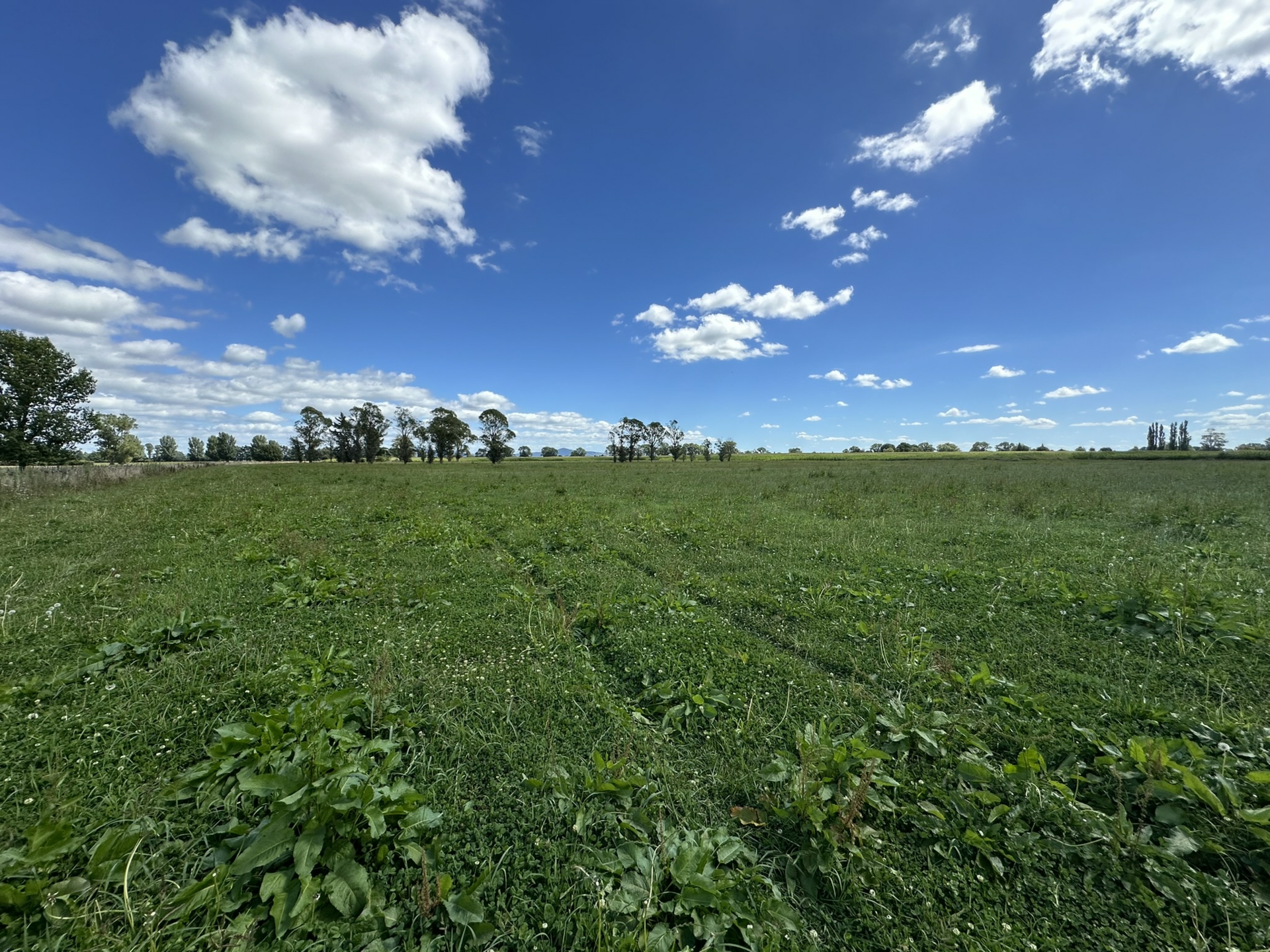 Wardville Rd Matamata Property Details LJ Hooker