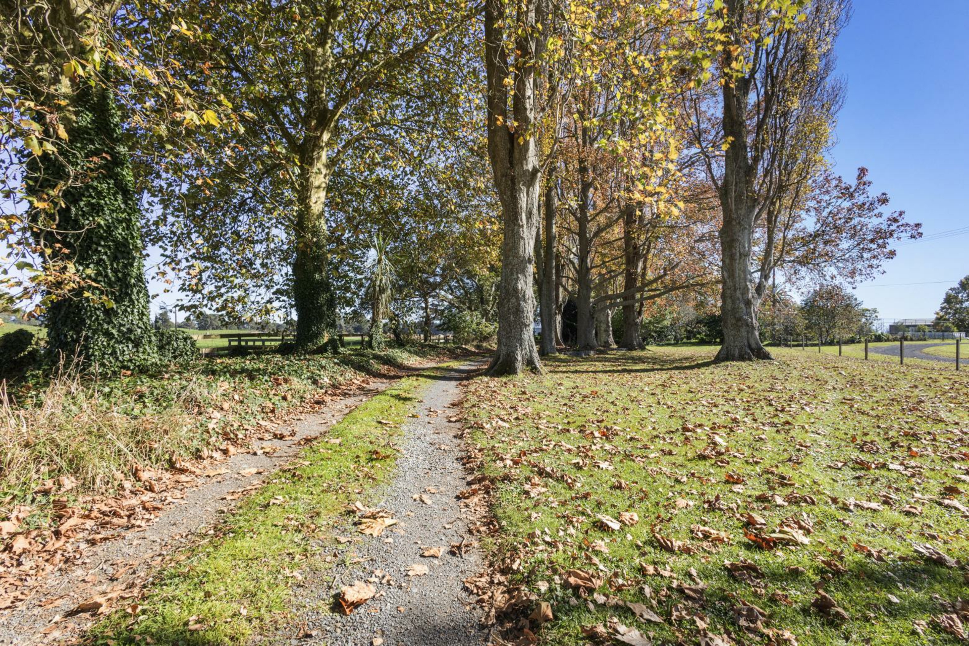 208 Livingstone Road, TE POI