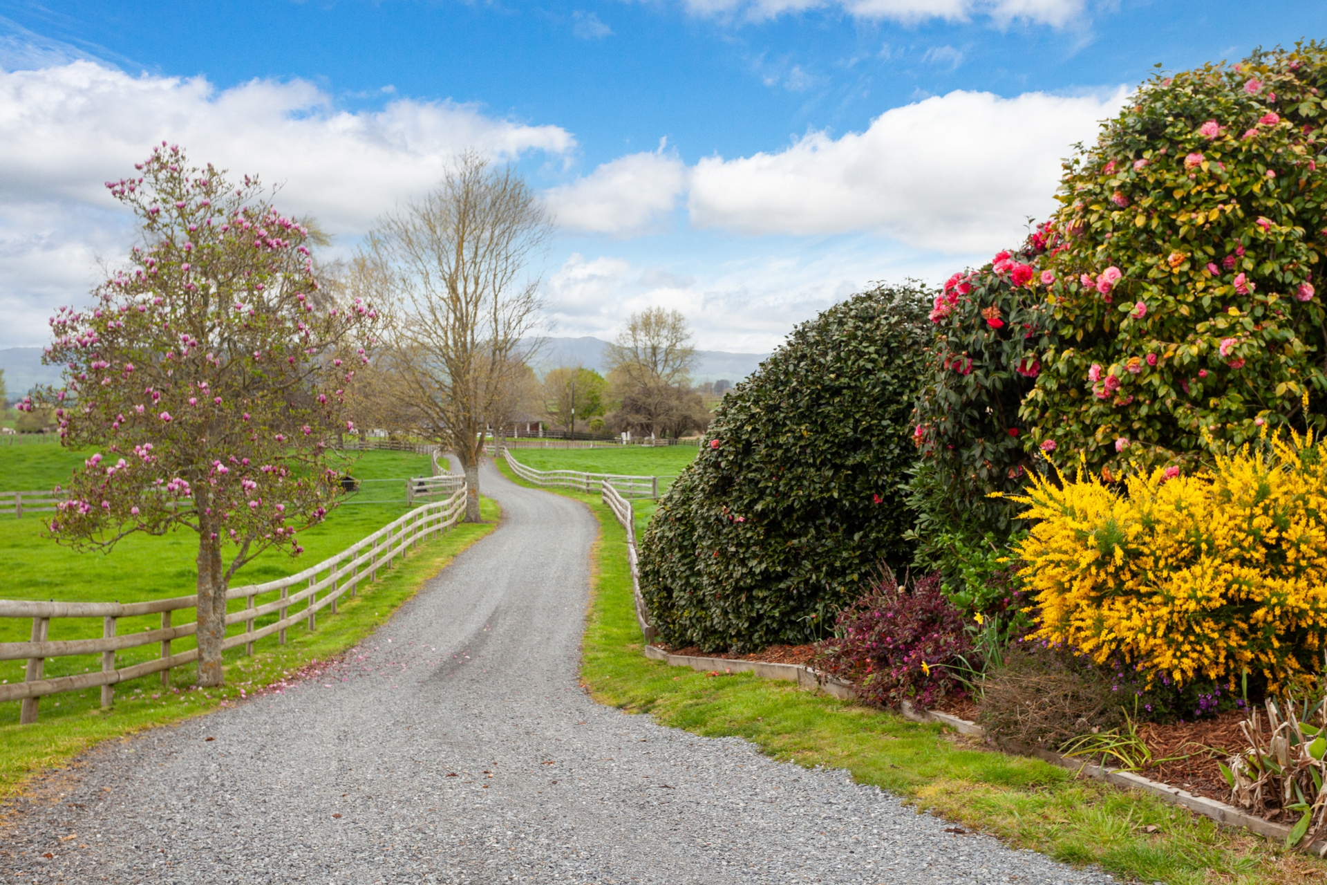 115 Gunn Road, MATAMATA