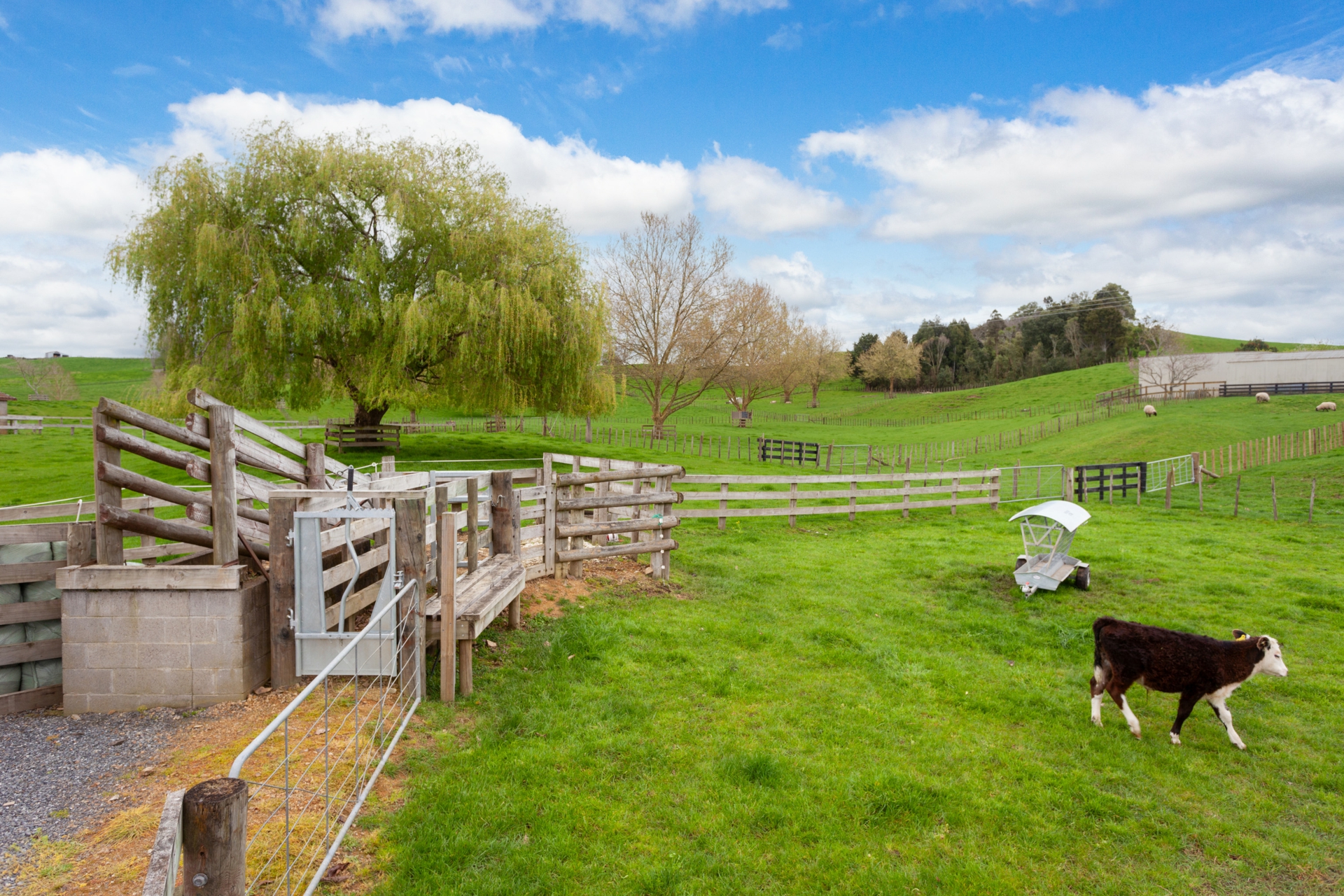 115 Gunn Road, MATAMATA