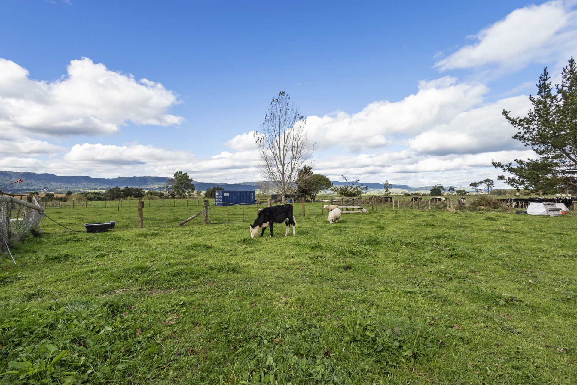 97 Te Poi South Rd, TE POI