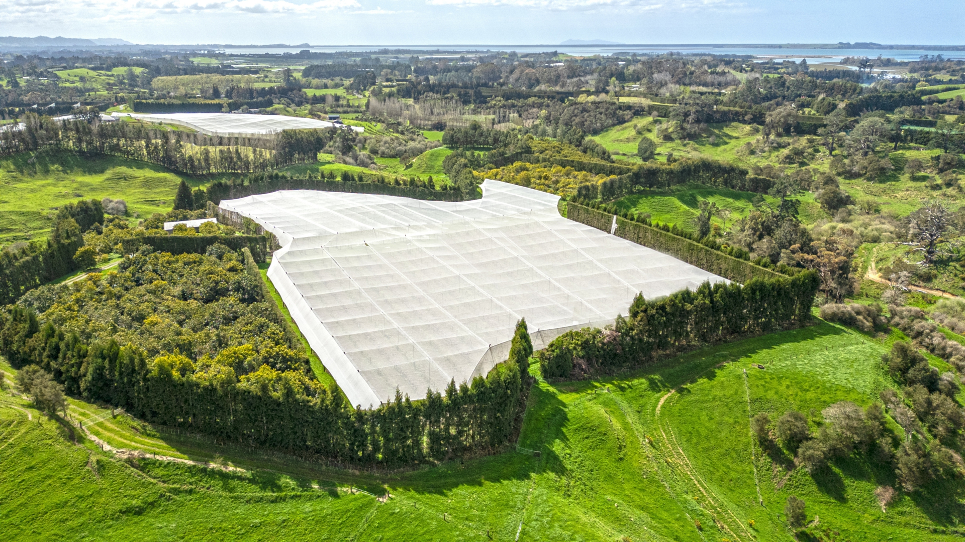231 Walford Road, Aongatete