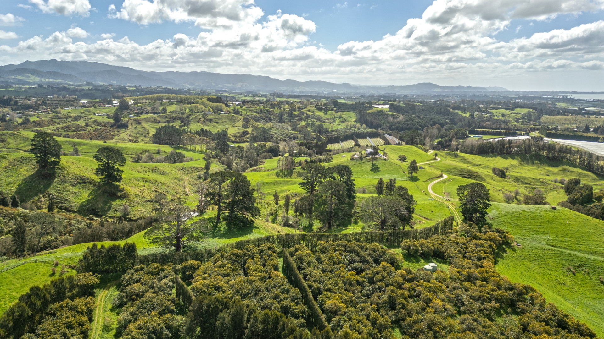 231 Walford Road, Aongatete