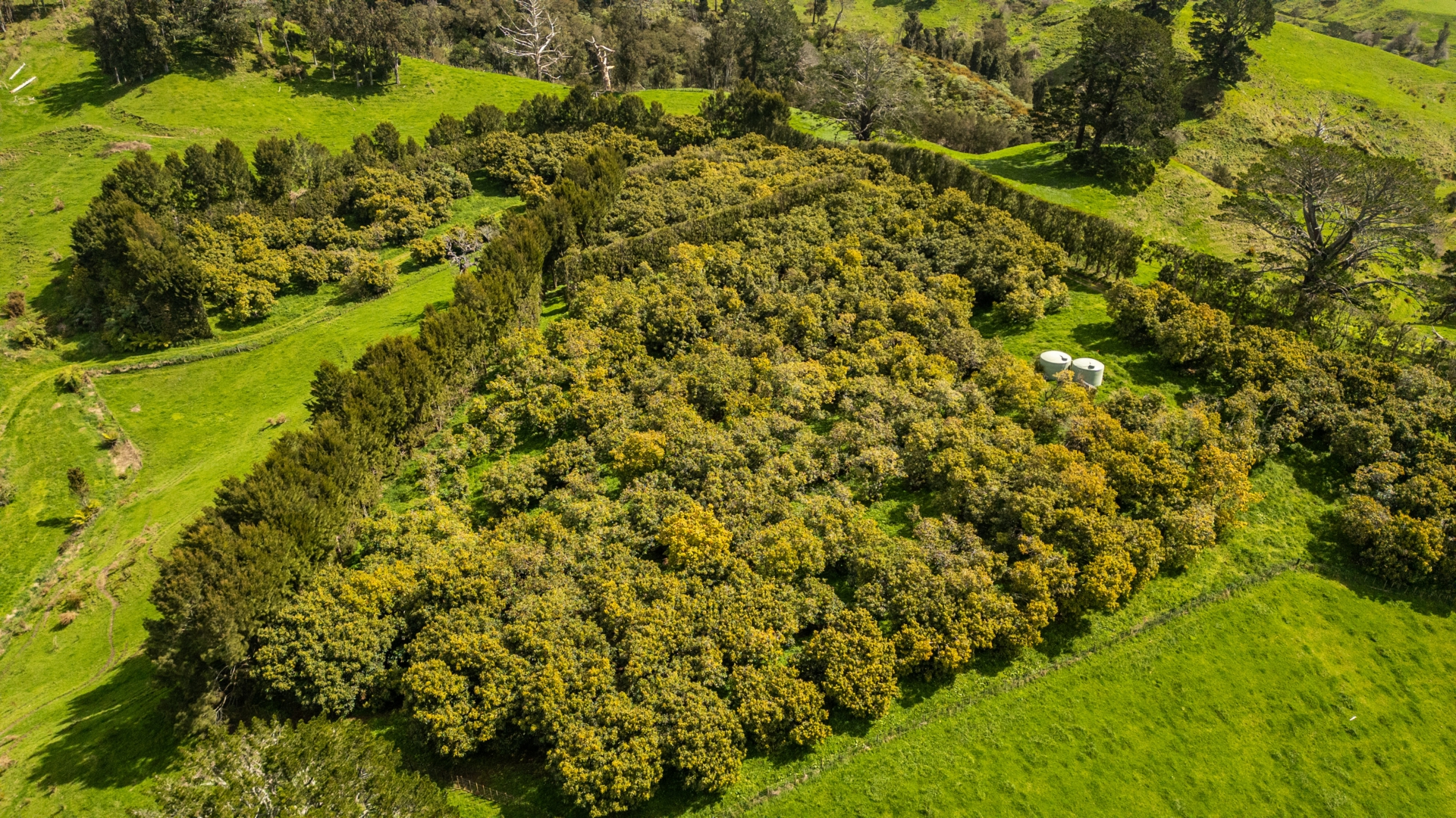 231 Walford Road, Aongatete