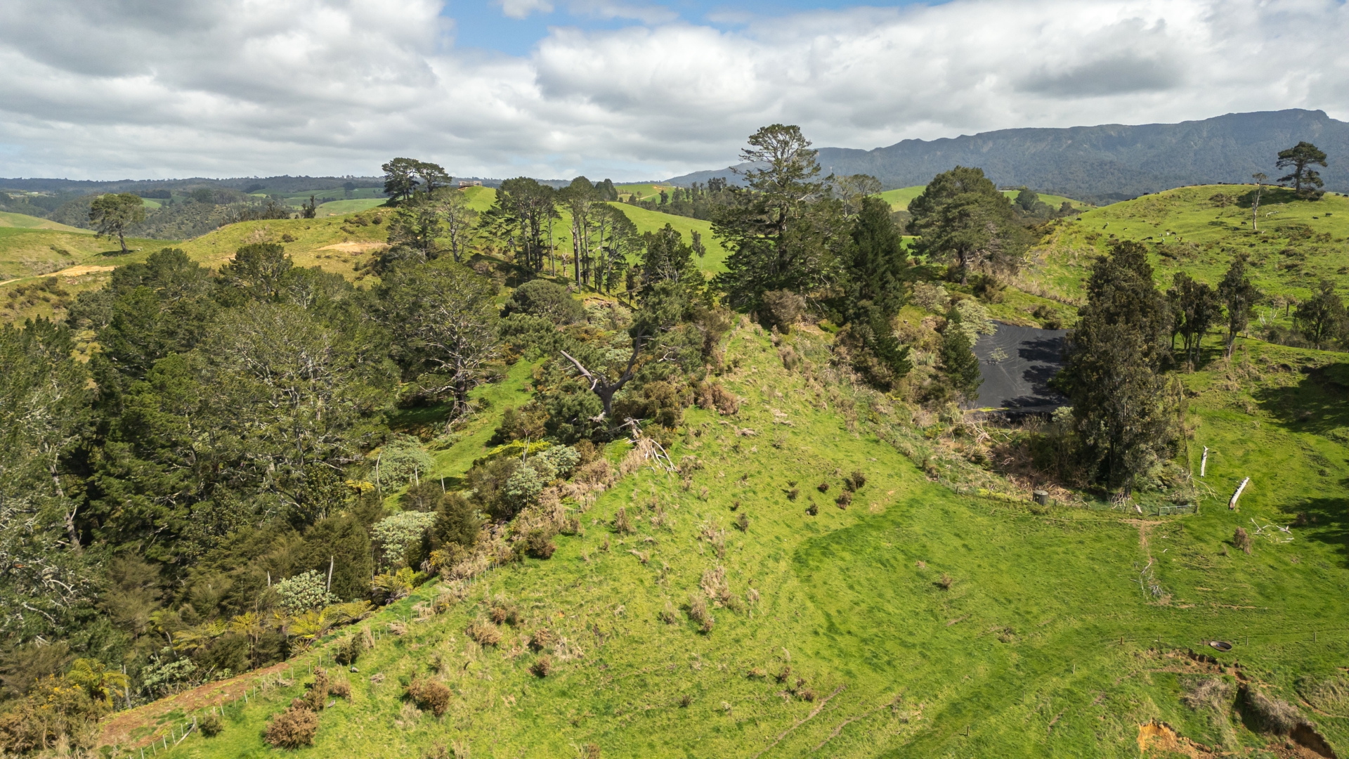 231 Walford Road, Aongatete