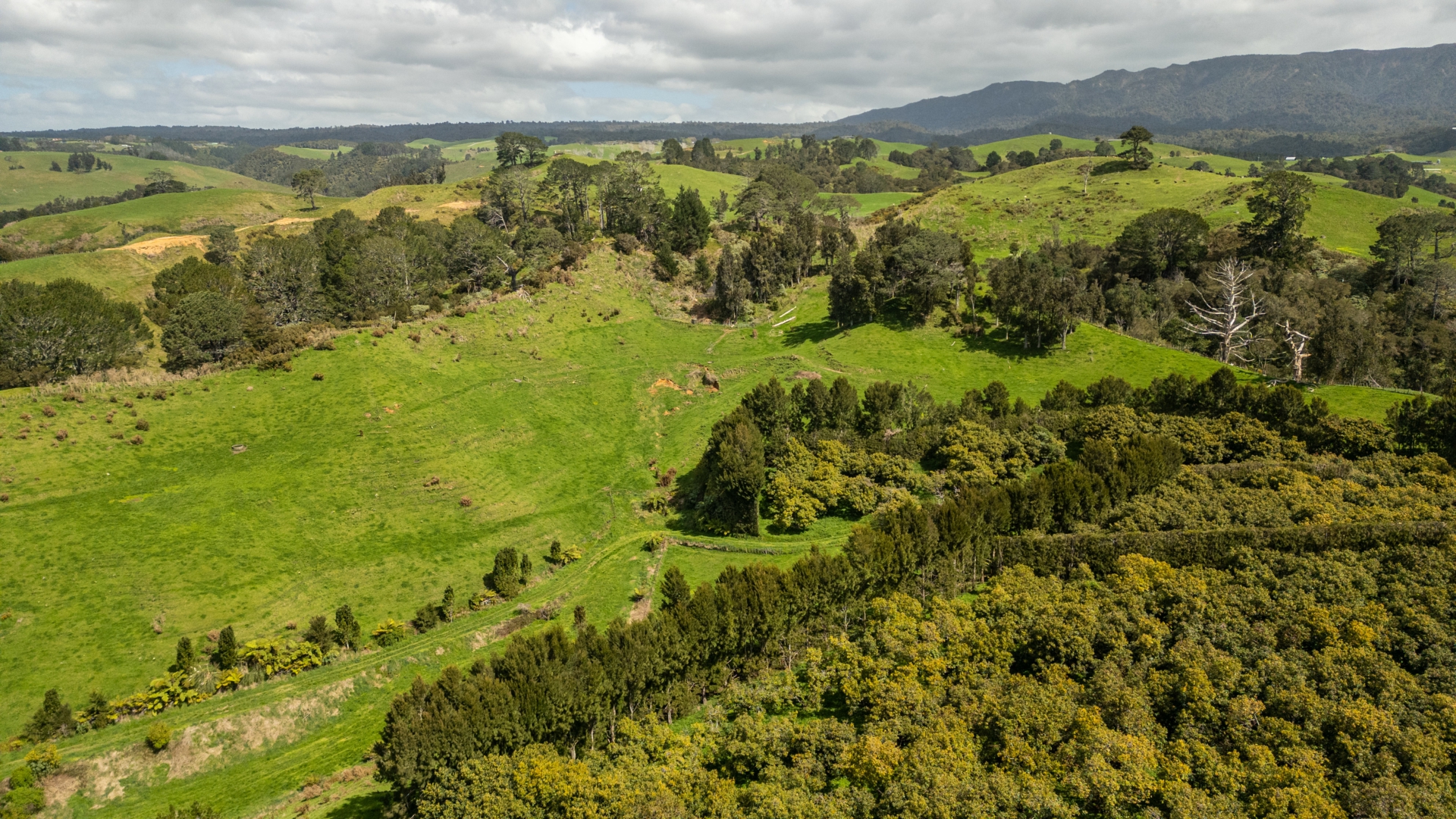 231 Walford Road, Aongatete