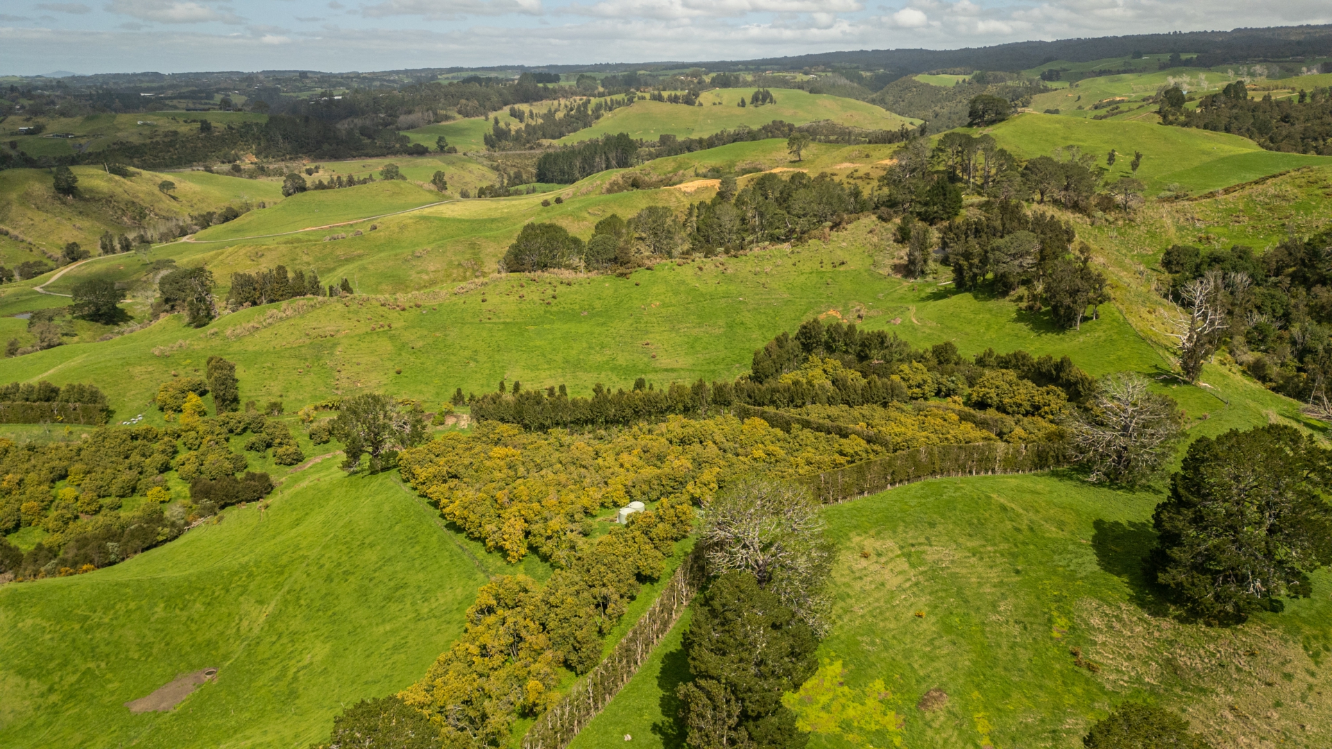 231 Walford Road, Aongatete