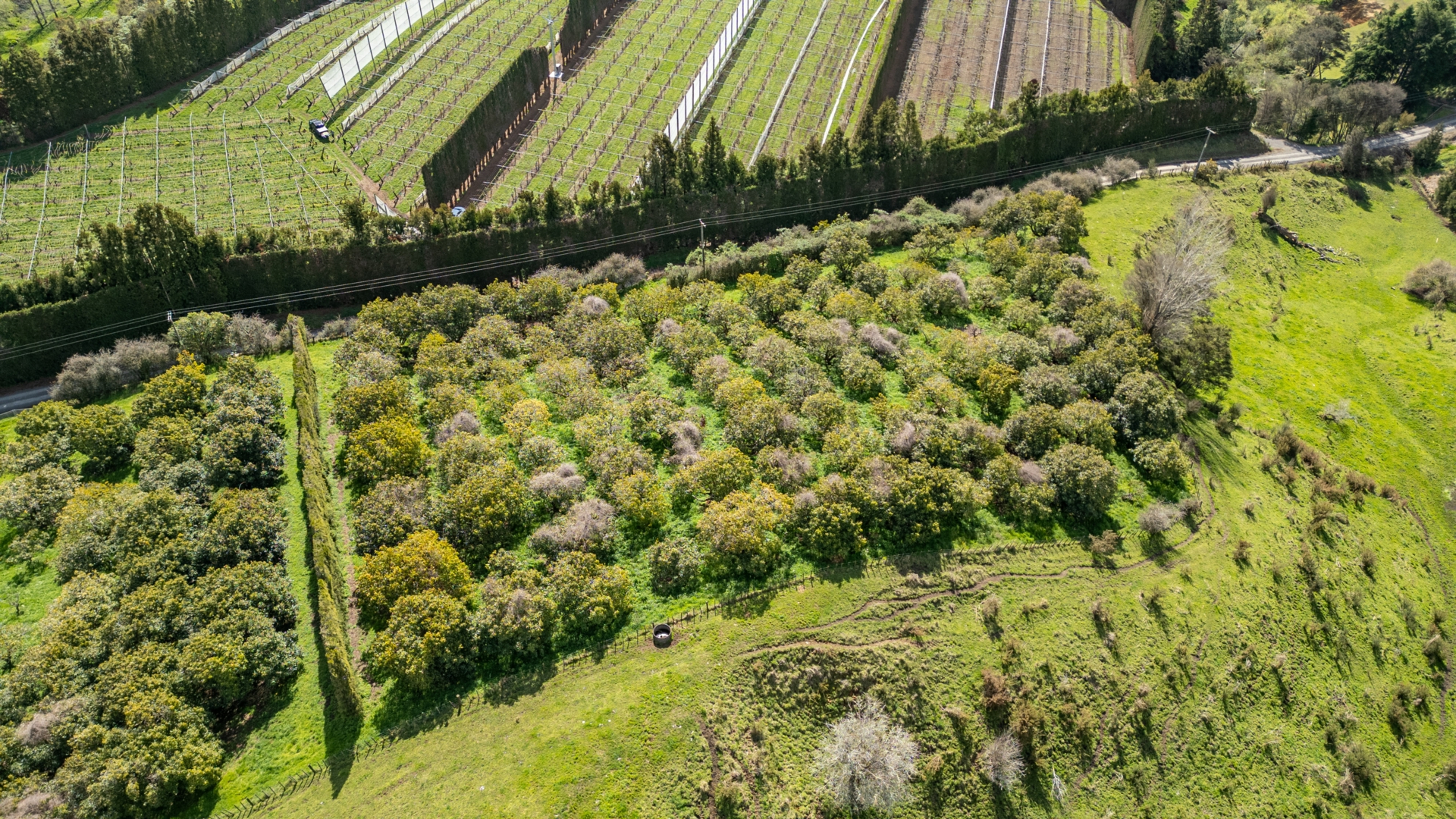231 Walford Road, Aongatete