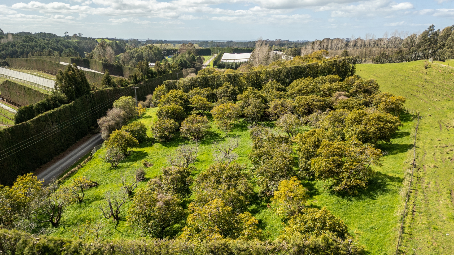 231 Walford Road, Aongatete
