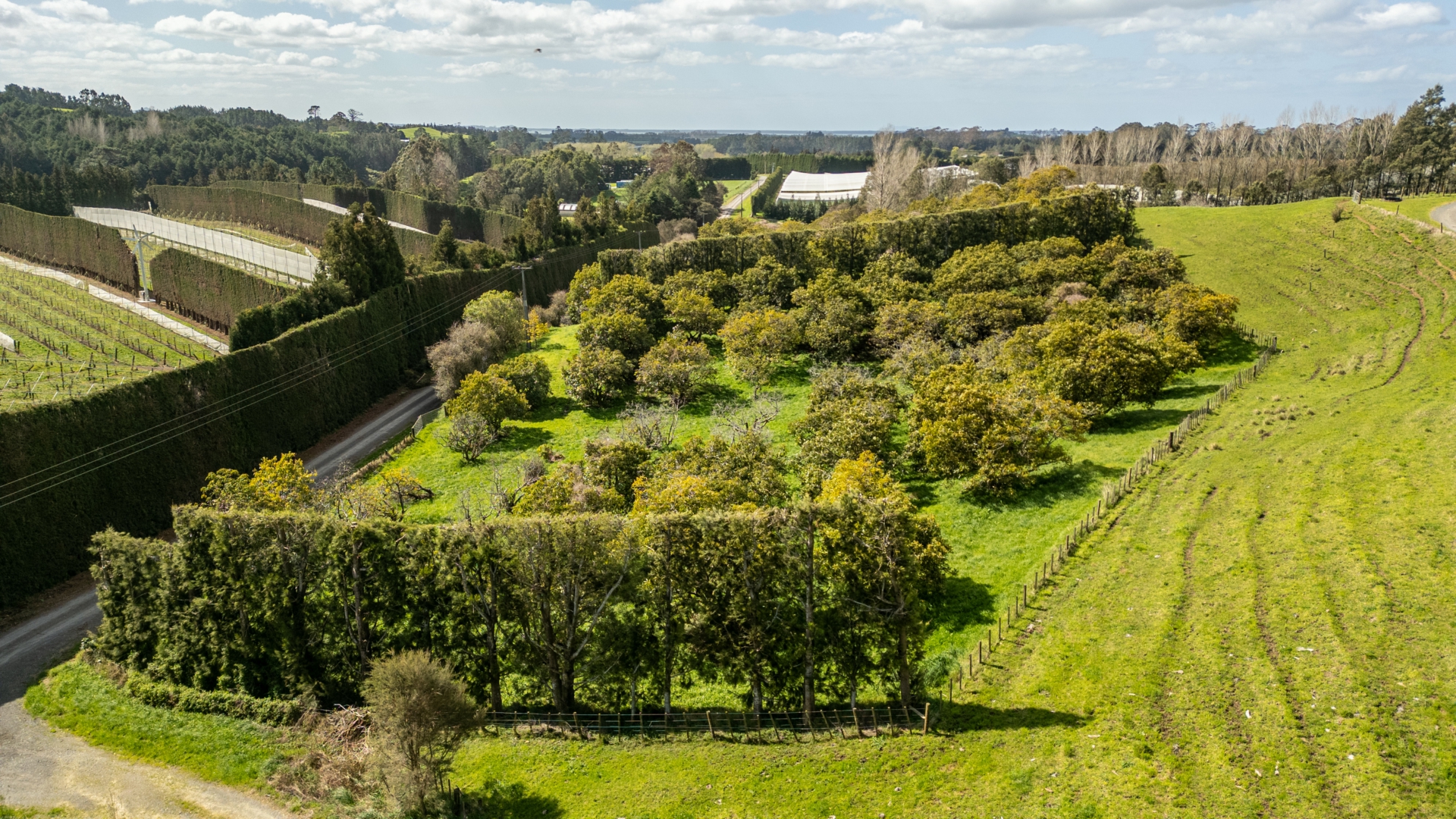 231 Walford Road, Aongatete