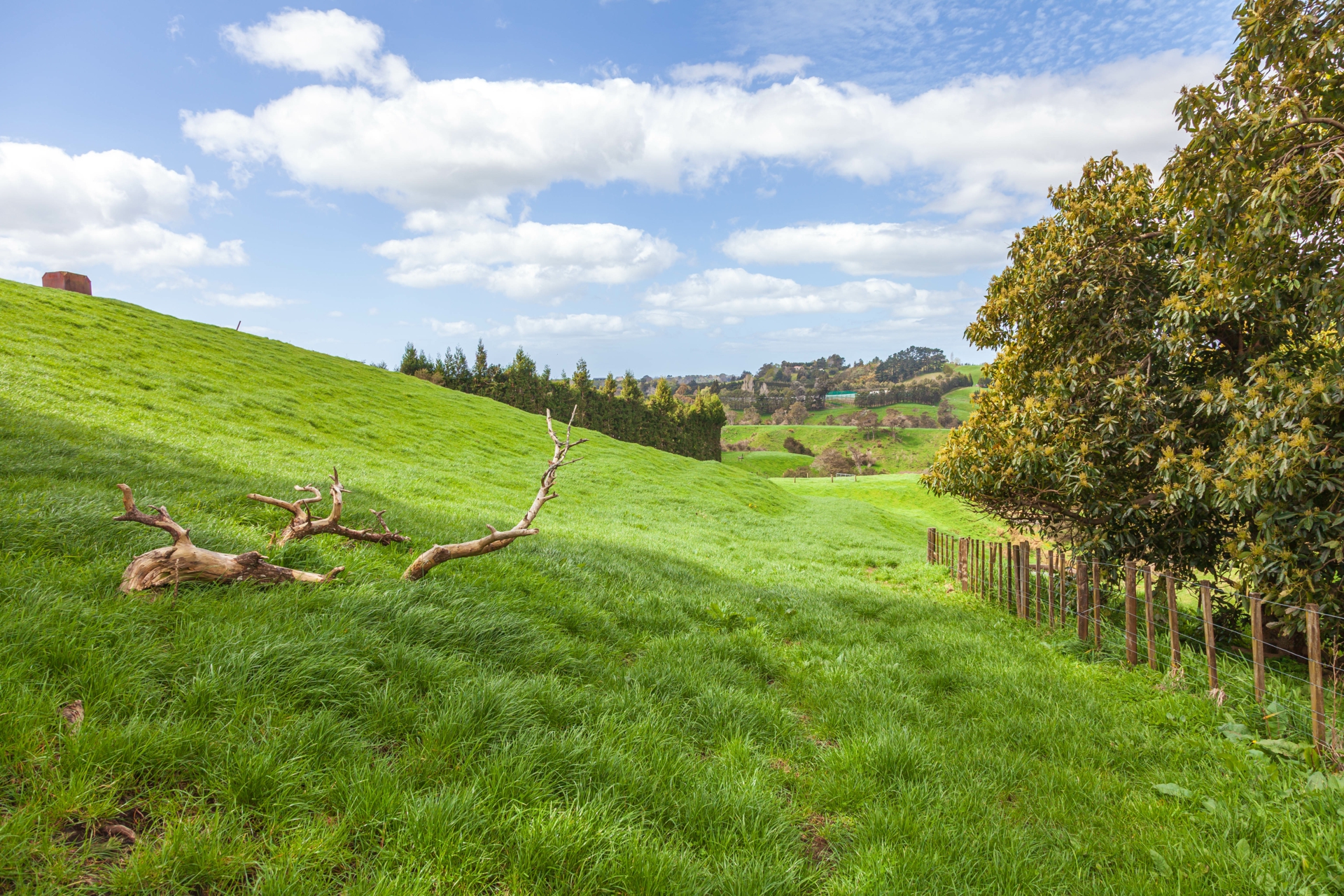 231 Walford Road, Aongatete