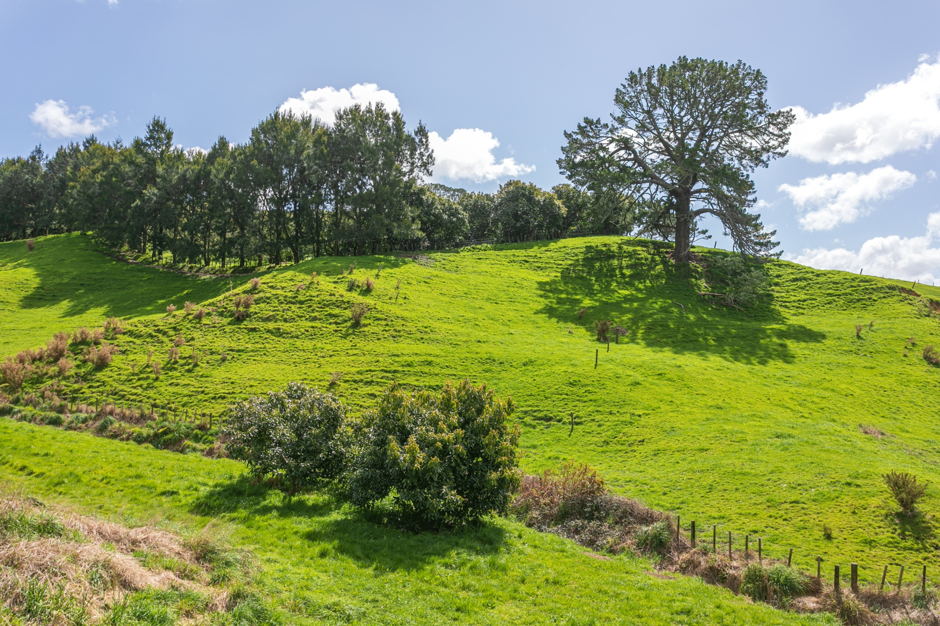 231 Walford Road, Aongatete
