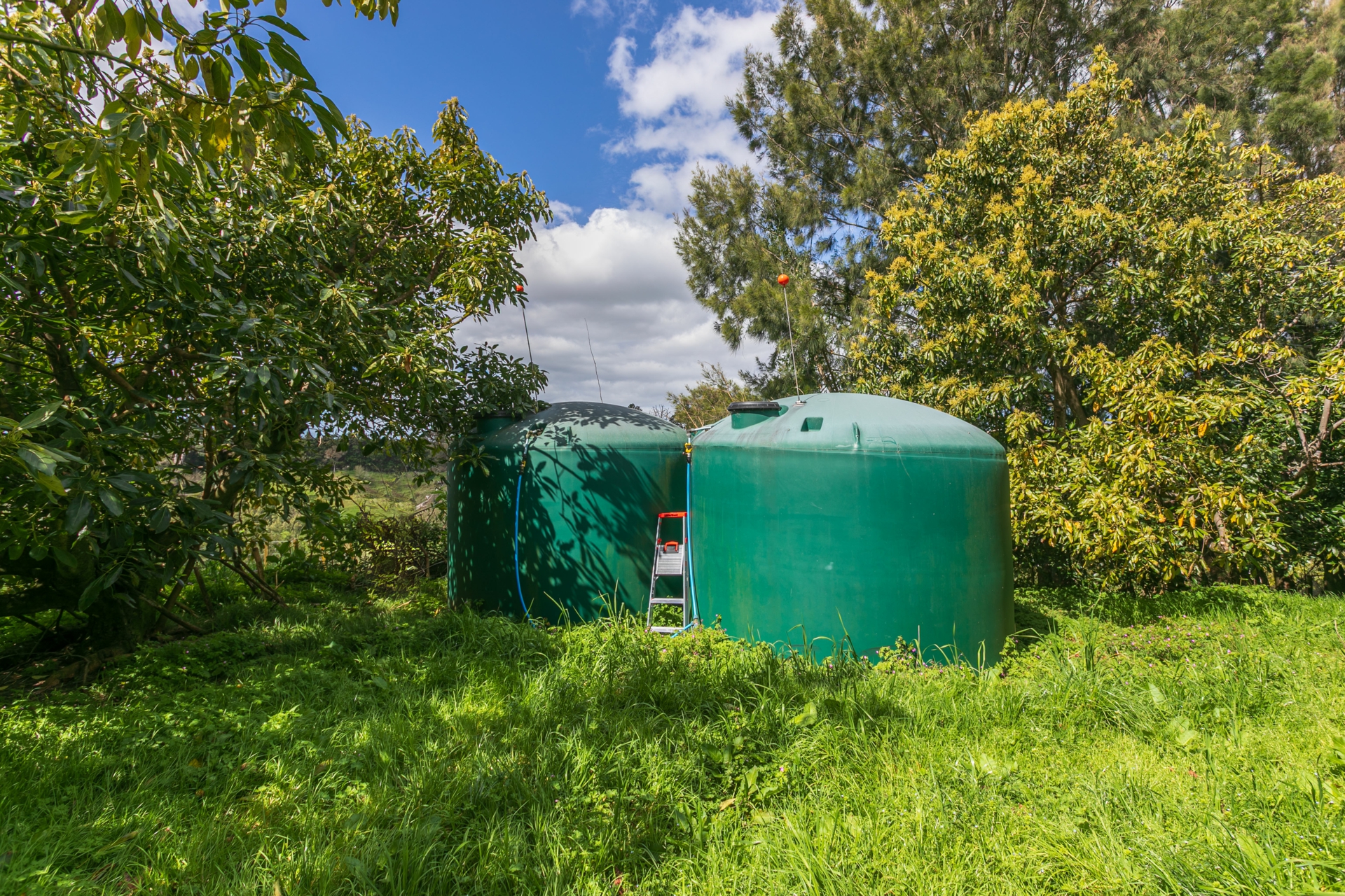 231 Walford Road, Aongatete