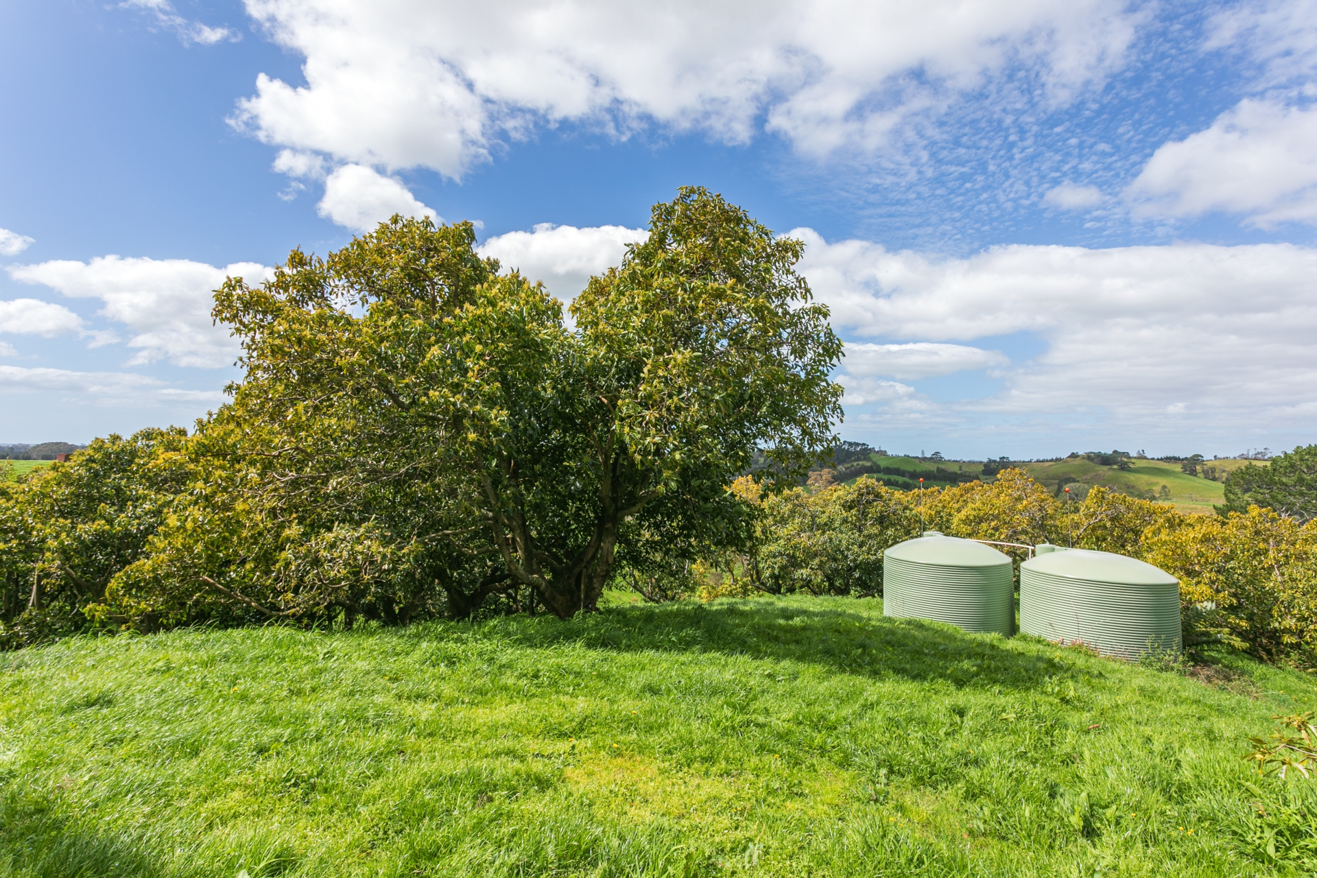 231 Walford Road, Aongatete