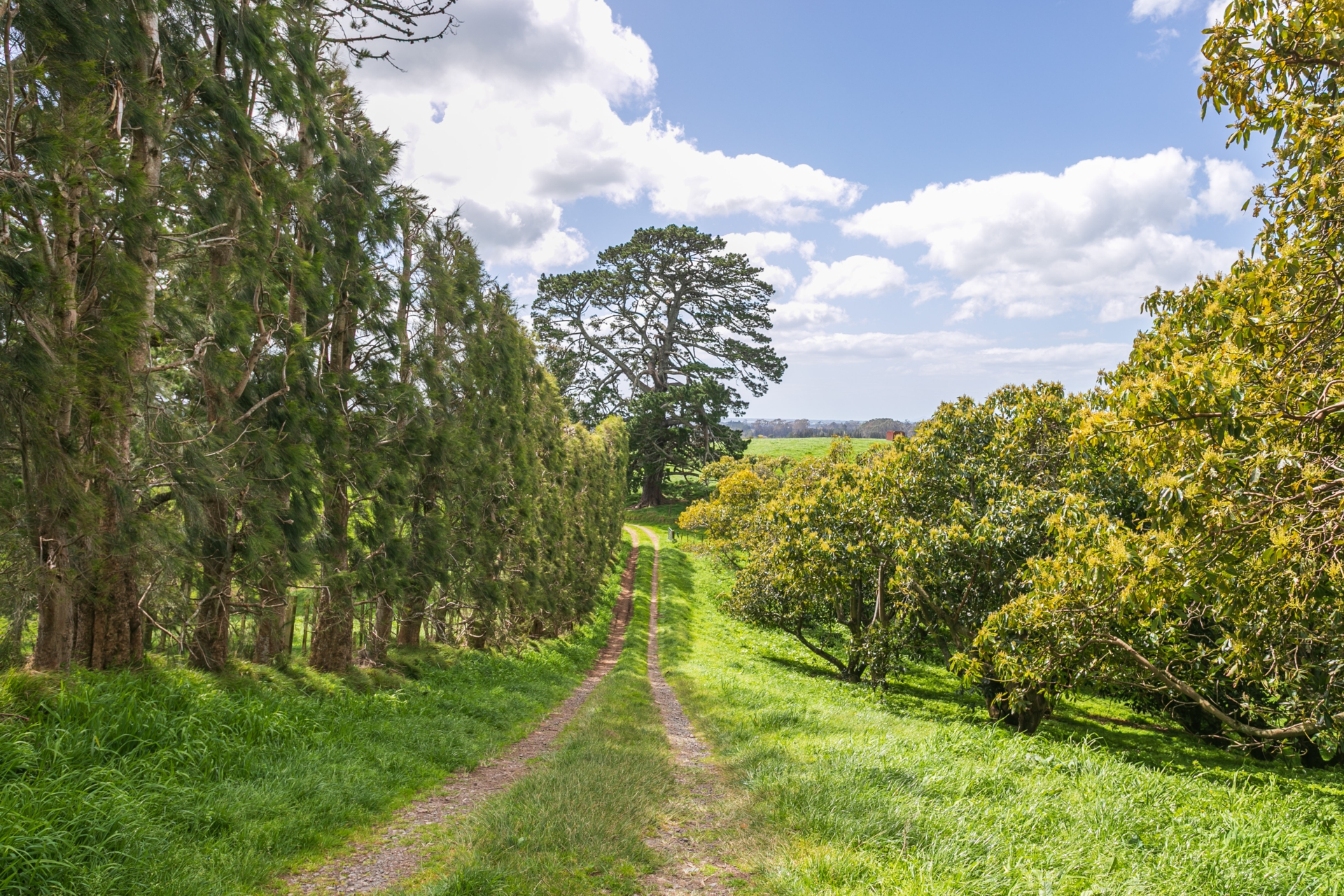 231 Walford Road, Aongatete