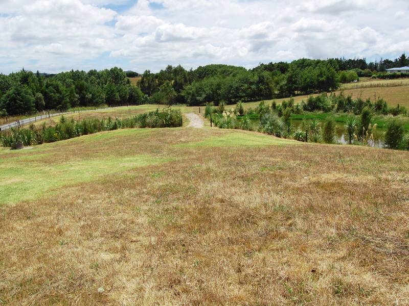 306 Lot 3 Oneriri Road Kaiwaka Property Details LJ Hooker