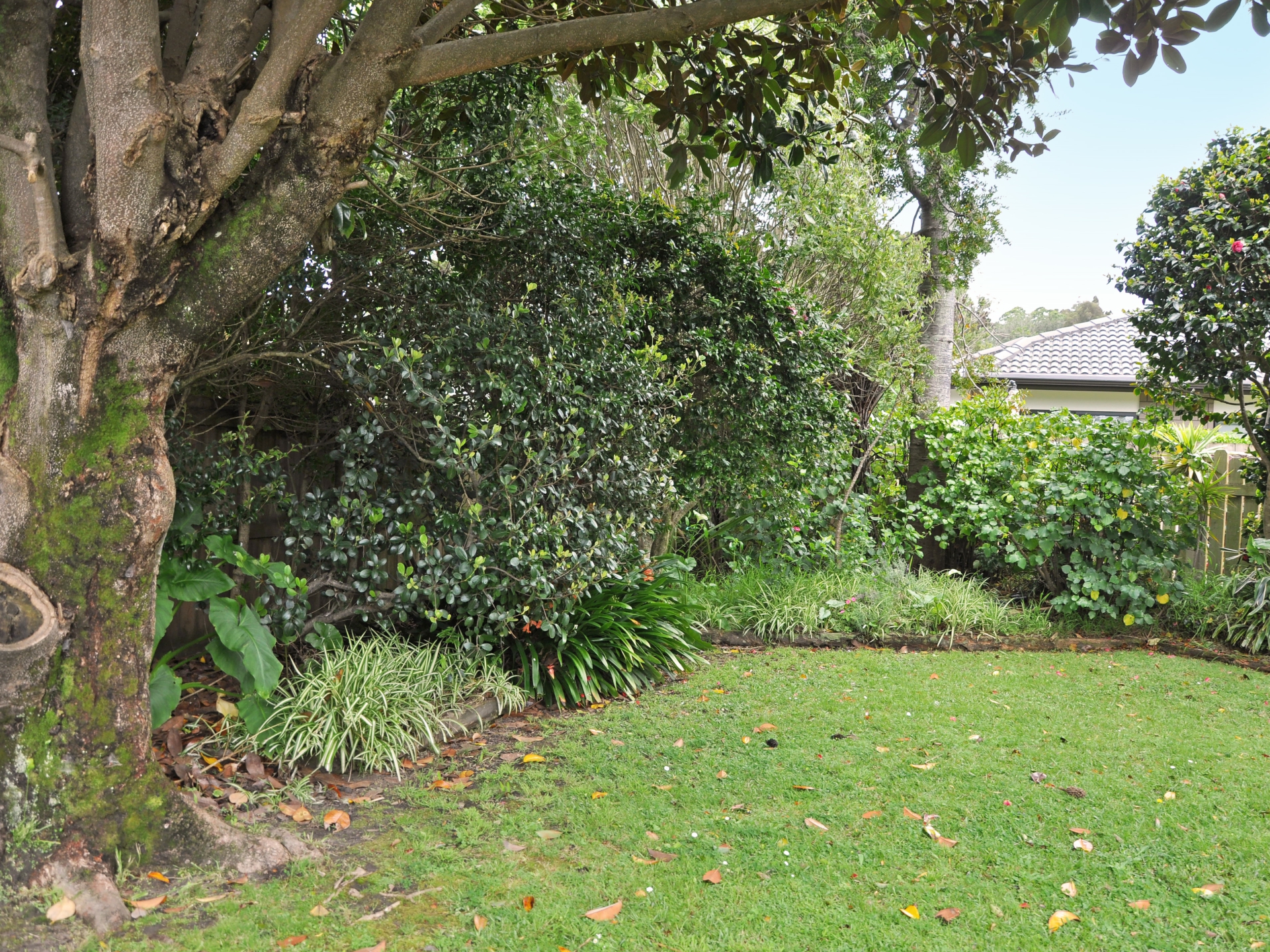 11 Manuka Street, OREWA