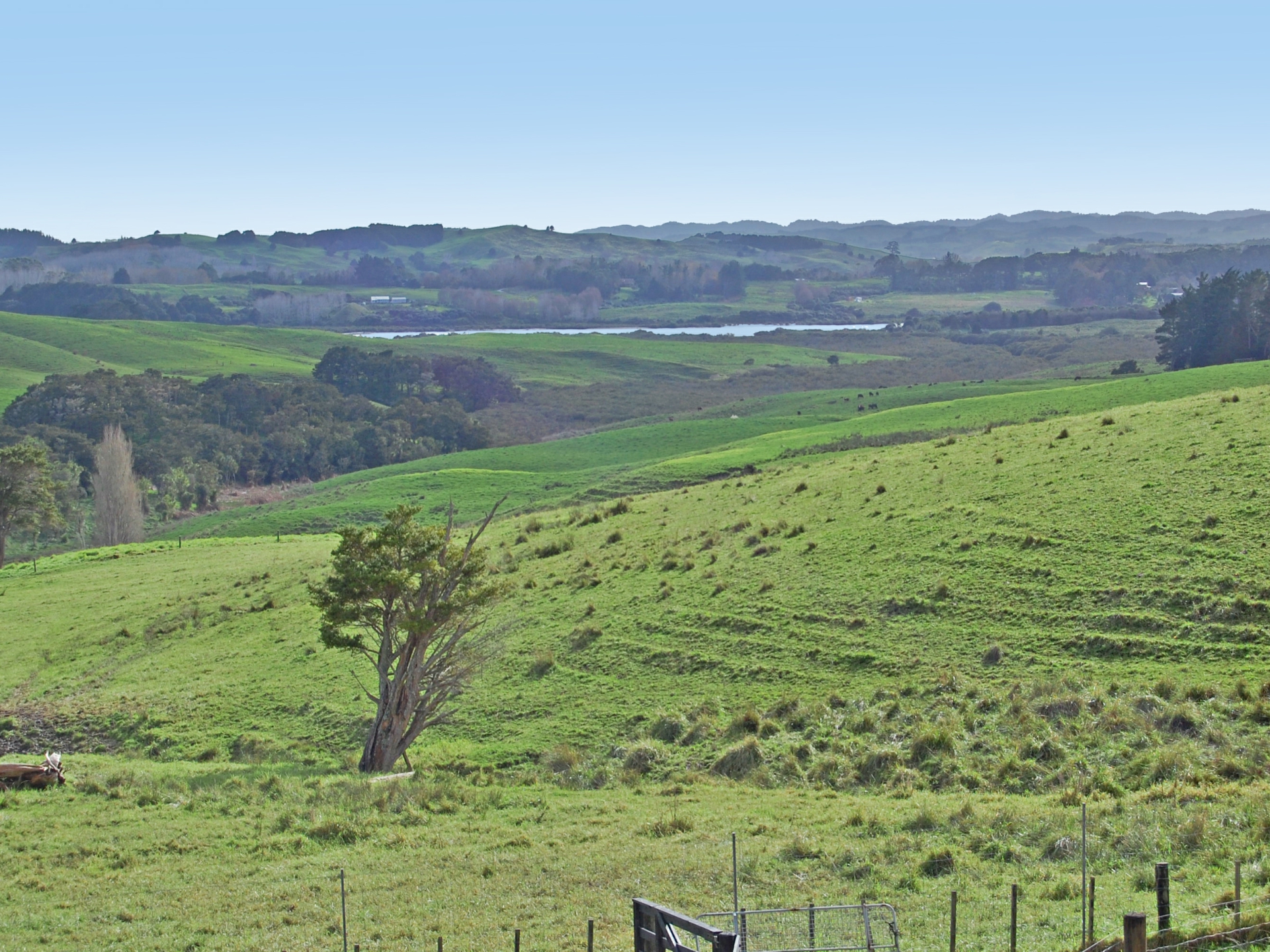 598A Oneriri Road Kaiwaka Property Details LJ Hooker