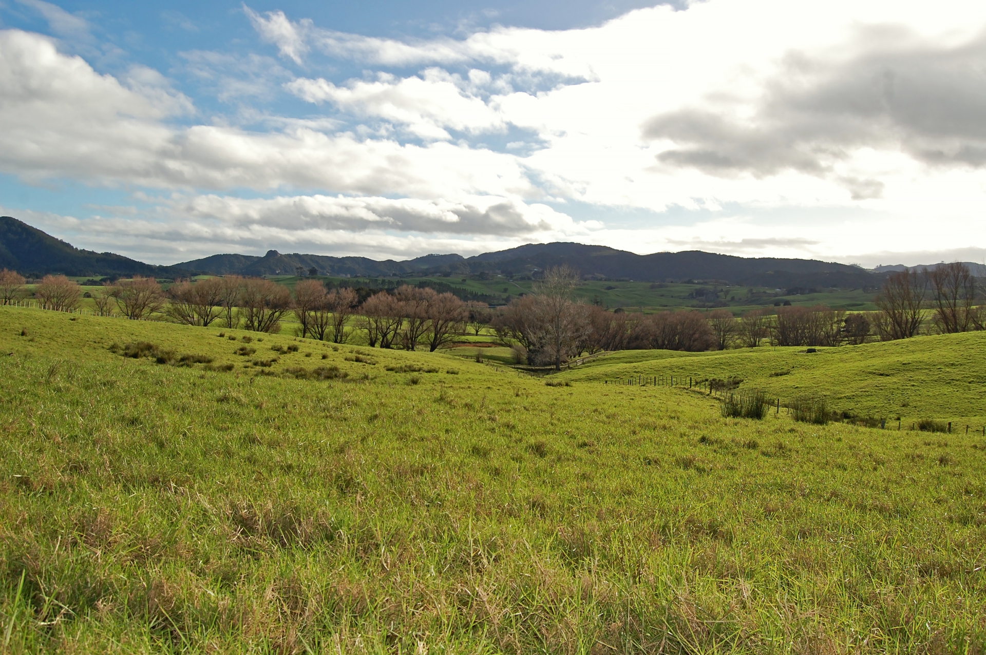 291A KaiwakaMangawhai Road Kaiwaka Lifestyle for Sale LJ Hooker