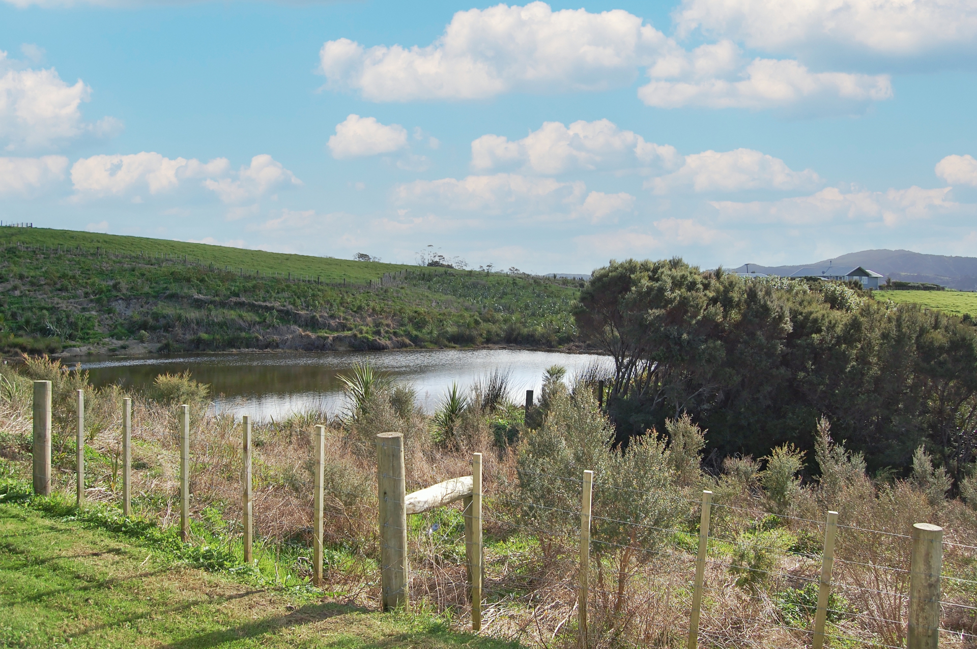 599 Kaiwaka-Mangawhai Road, HAKARU