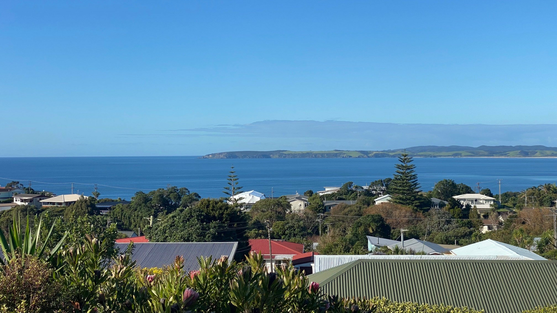 19 Albert Street Leigh Property Details LJ Hooker