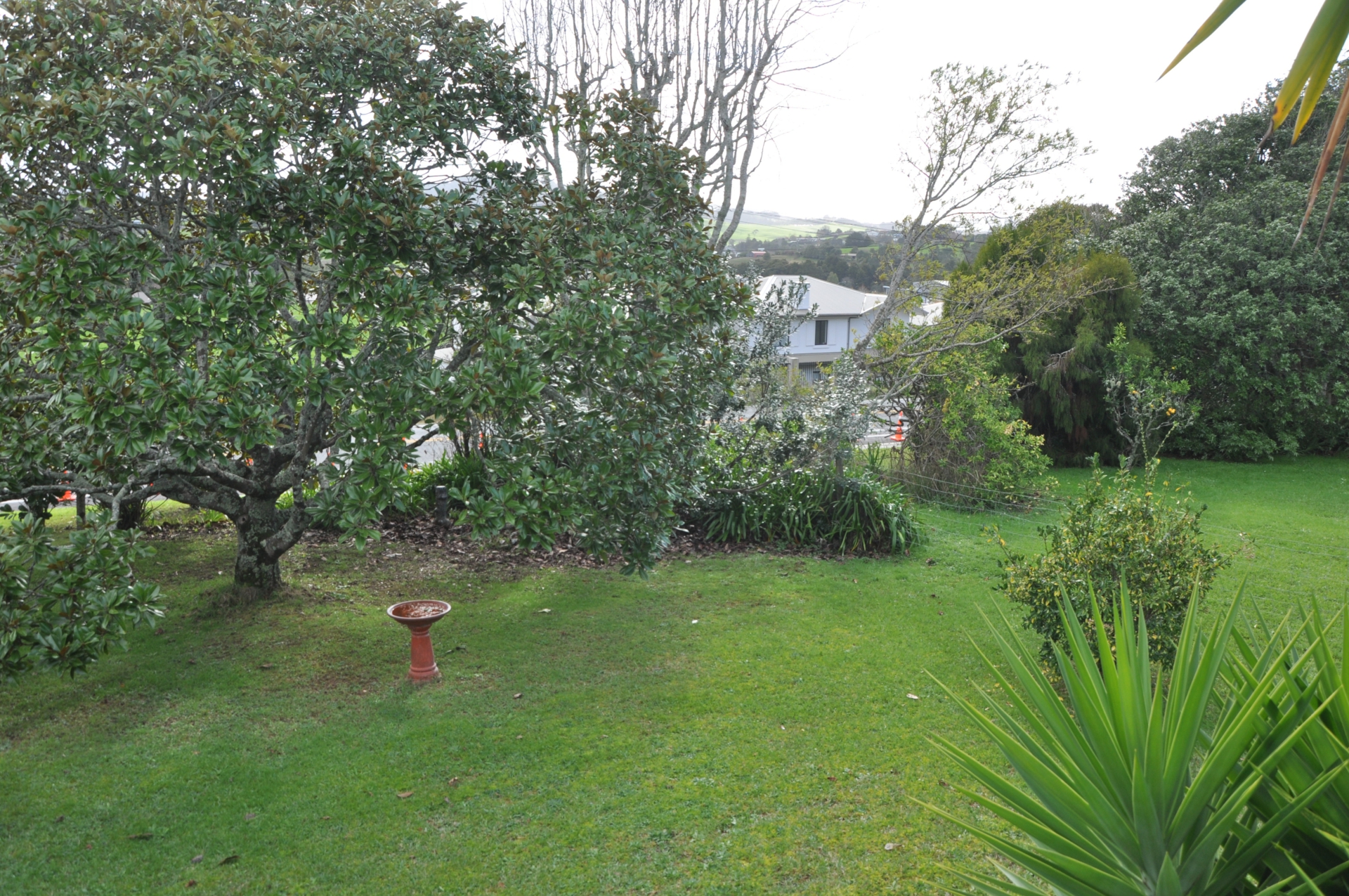 111 Woodcocks Road, WARKWORTH