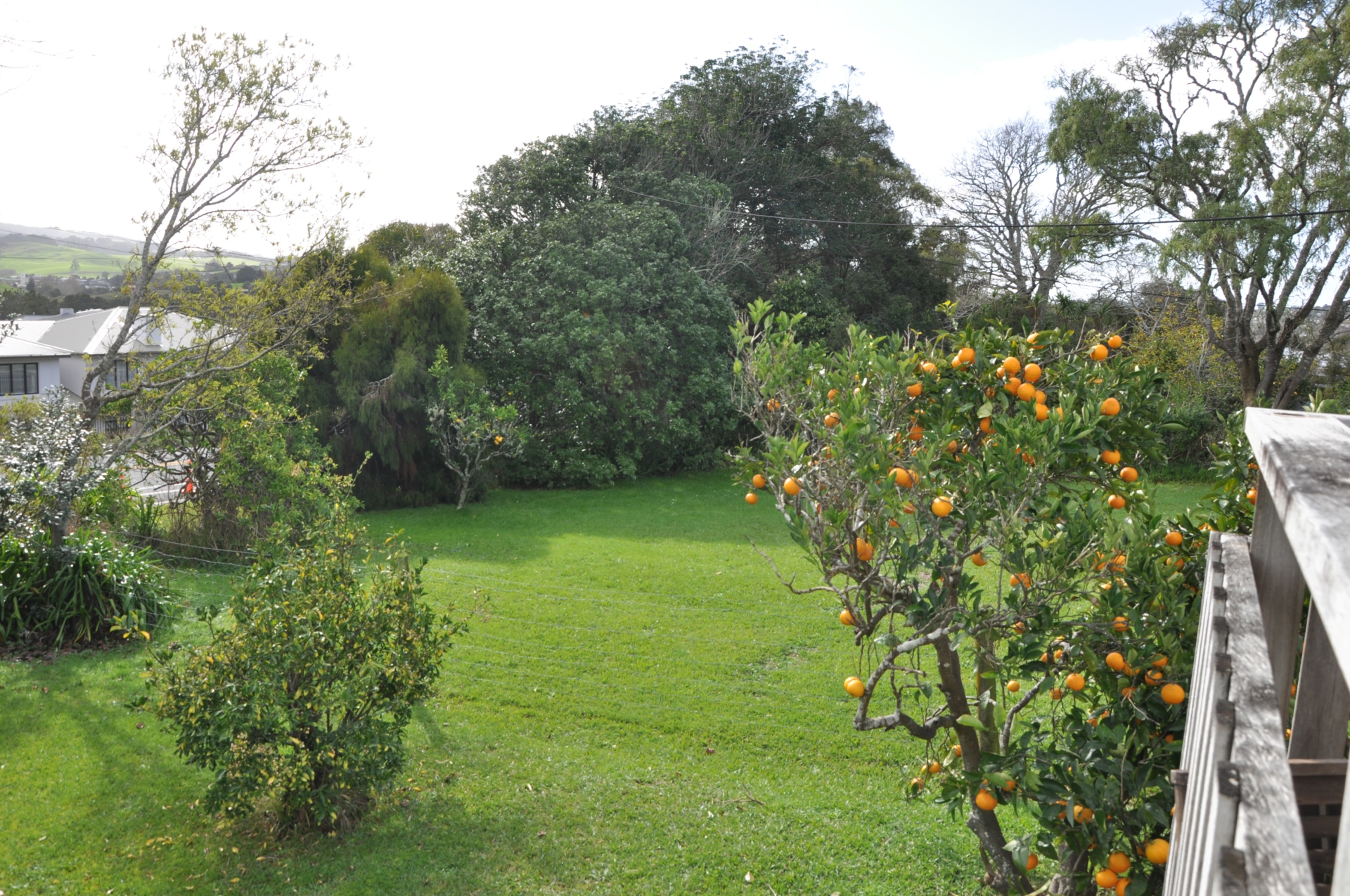 111 Woodcocks Road, WARKWORTH