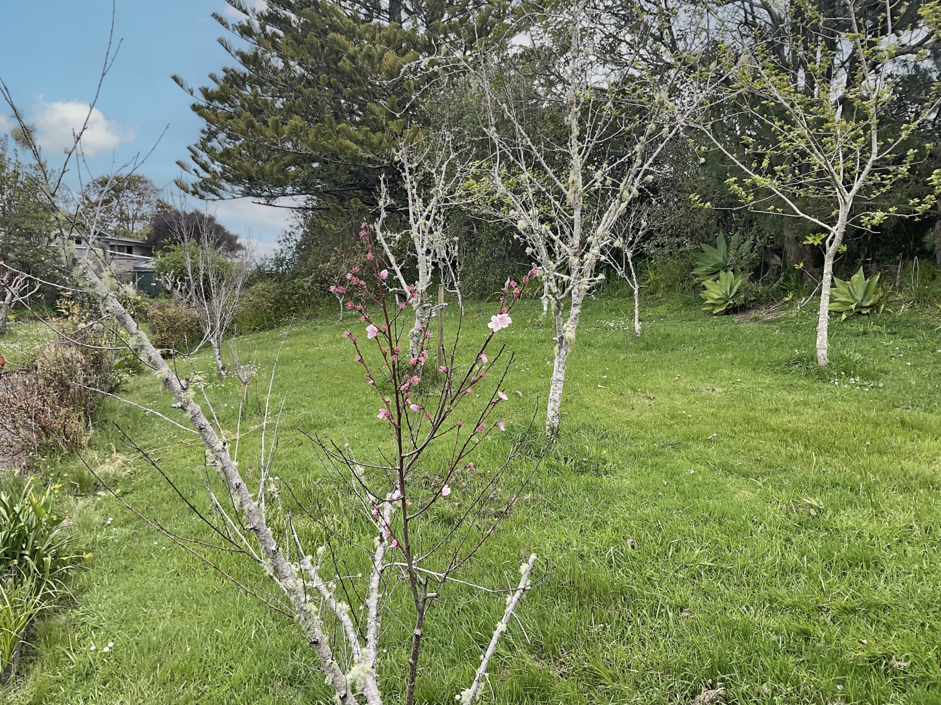 2103a State Highway 1, KAIWAKA