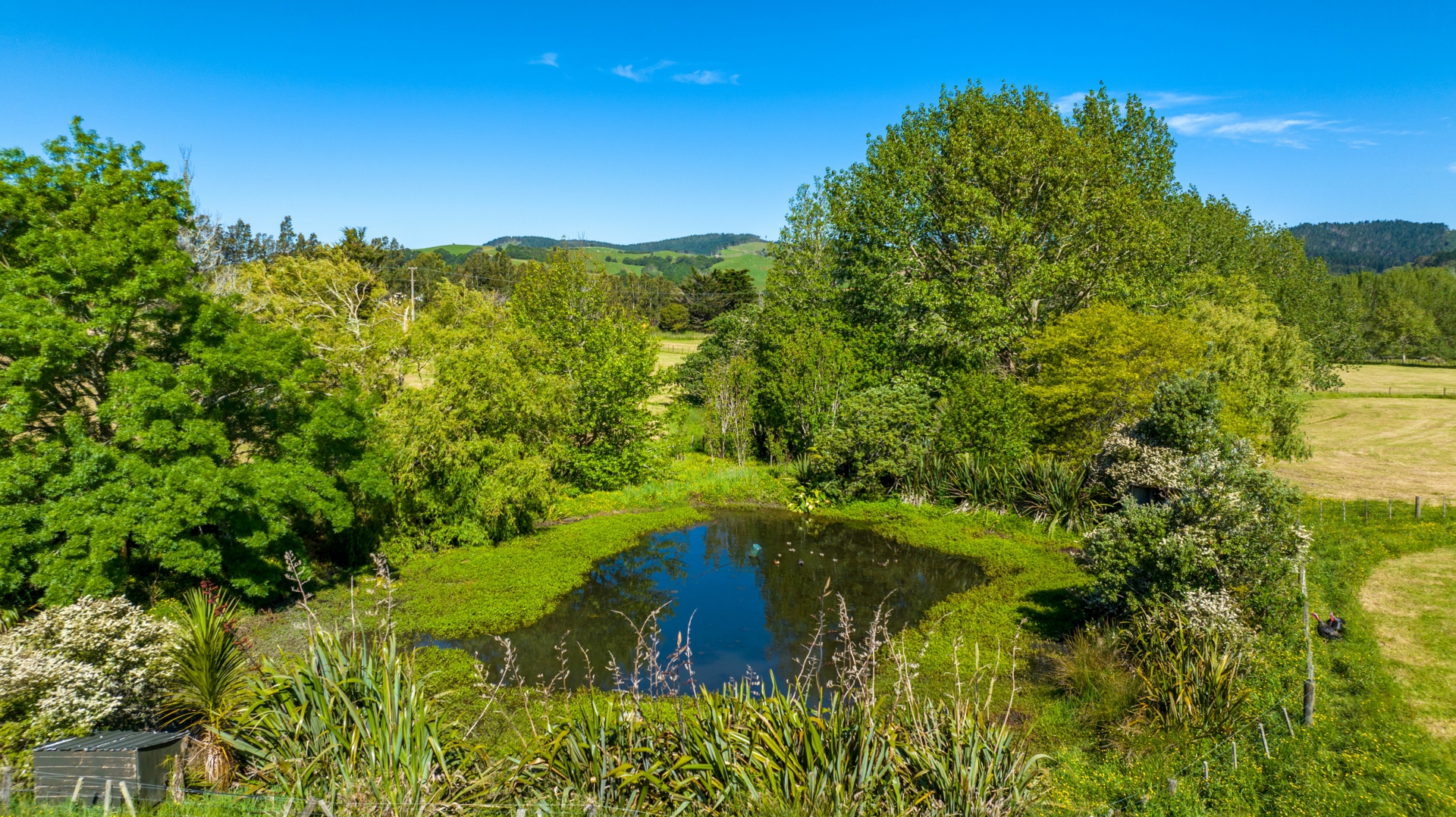 3 Waiteitei Rd, WELLSFORD