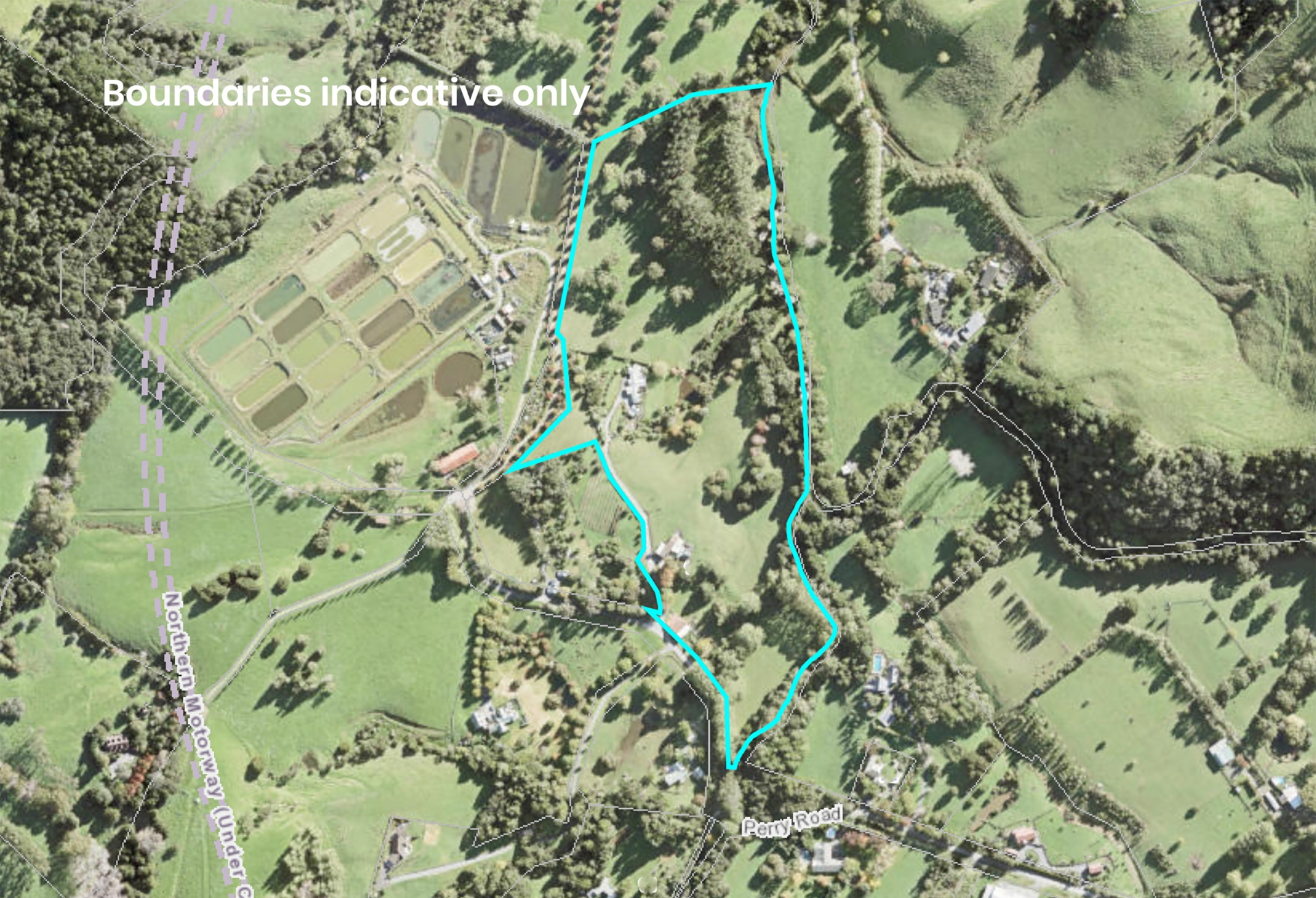 98 Perry Rd Warkworth Grazing for Sale LJ Hooker