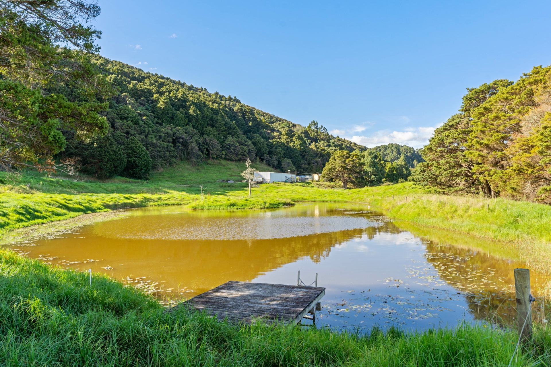 166 Mountain Road, MAUNGATUROTO