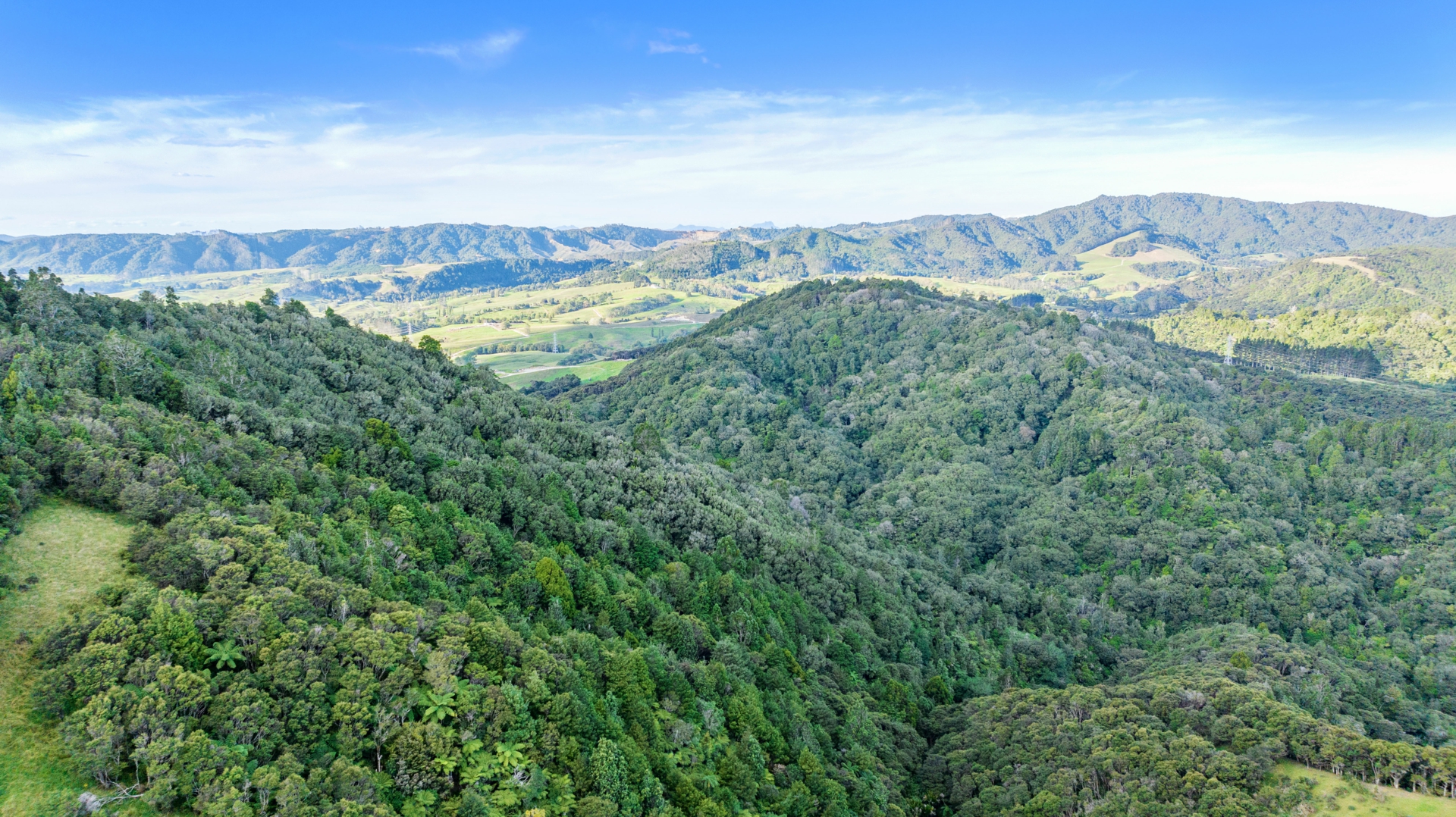 166 Mountain Road, MAUNGATUROTO